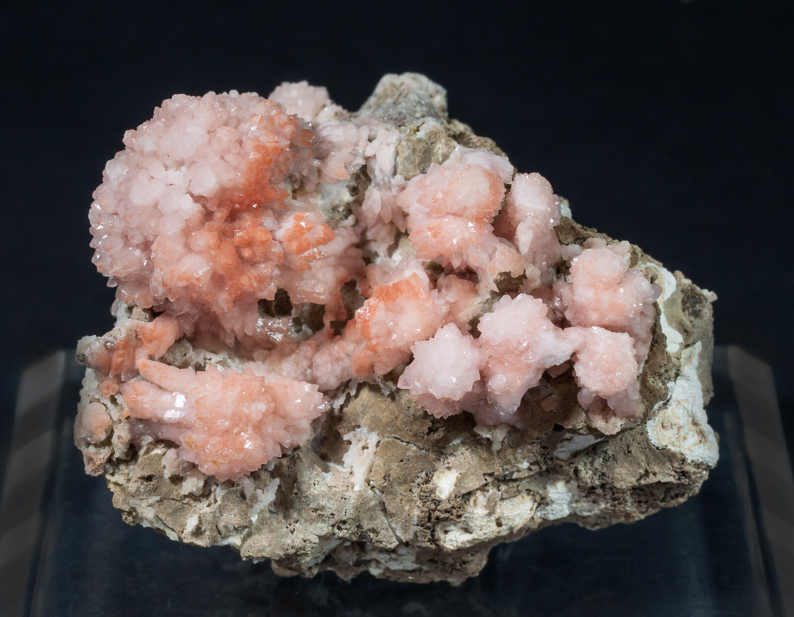 specimens/s_imagesAM8/Quartz_rose-TQ37AM8f.jpg