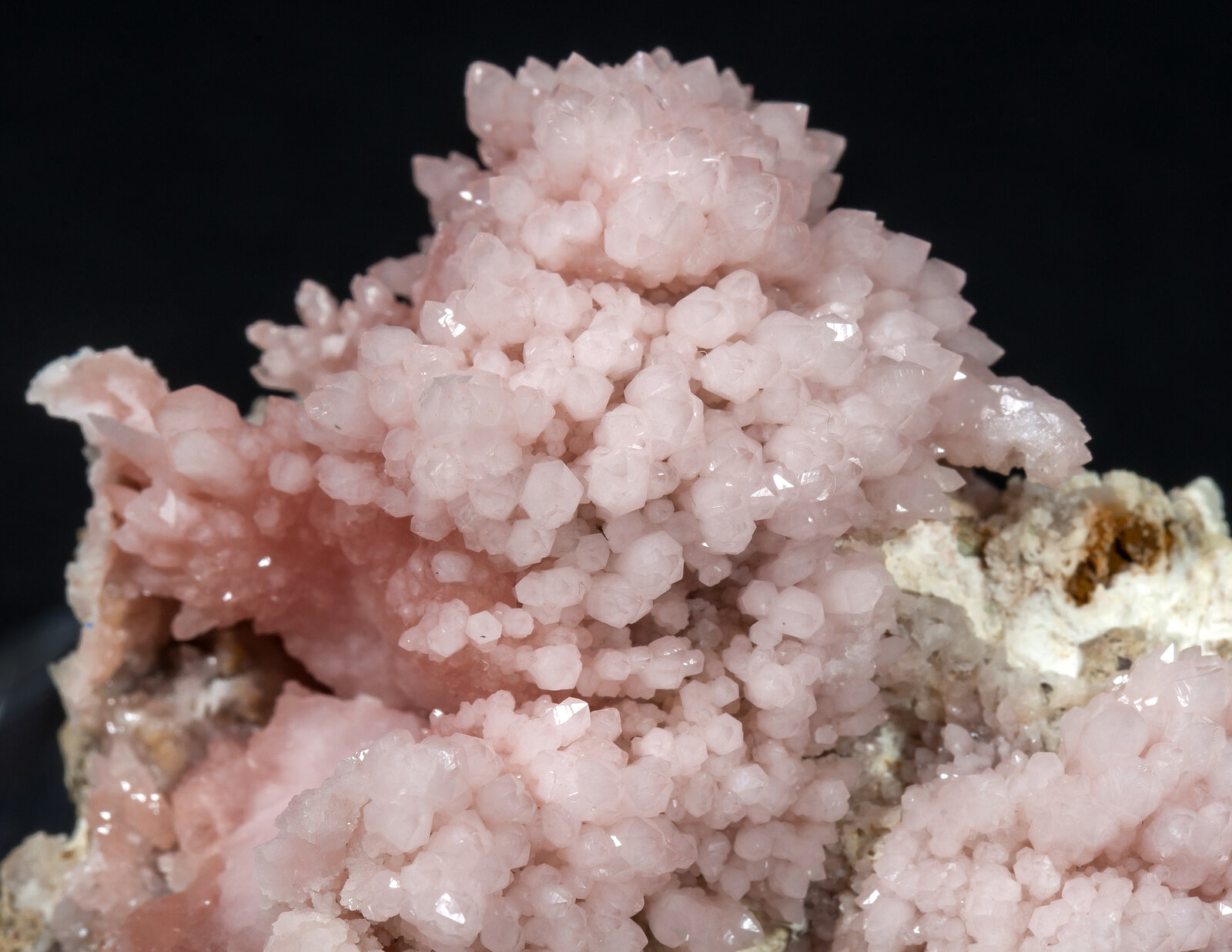 specimens/s_imagesAM8/Quartz_rose-TR96AM8d.jpg