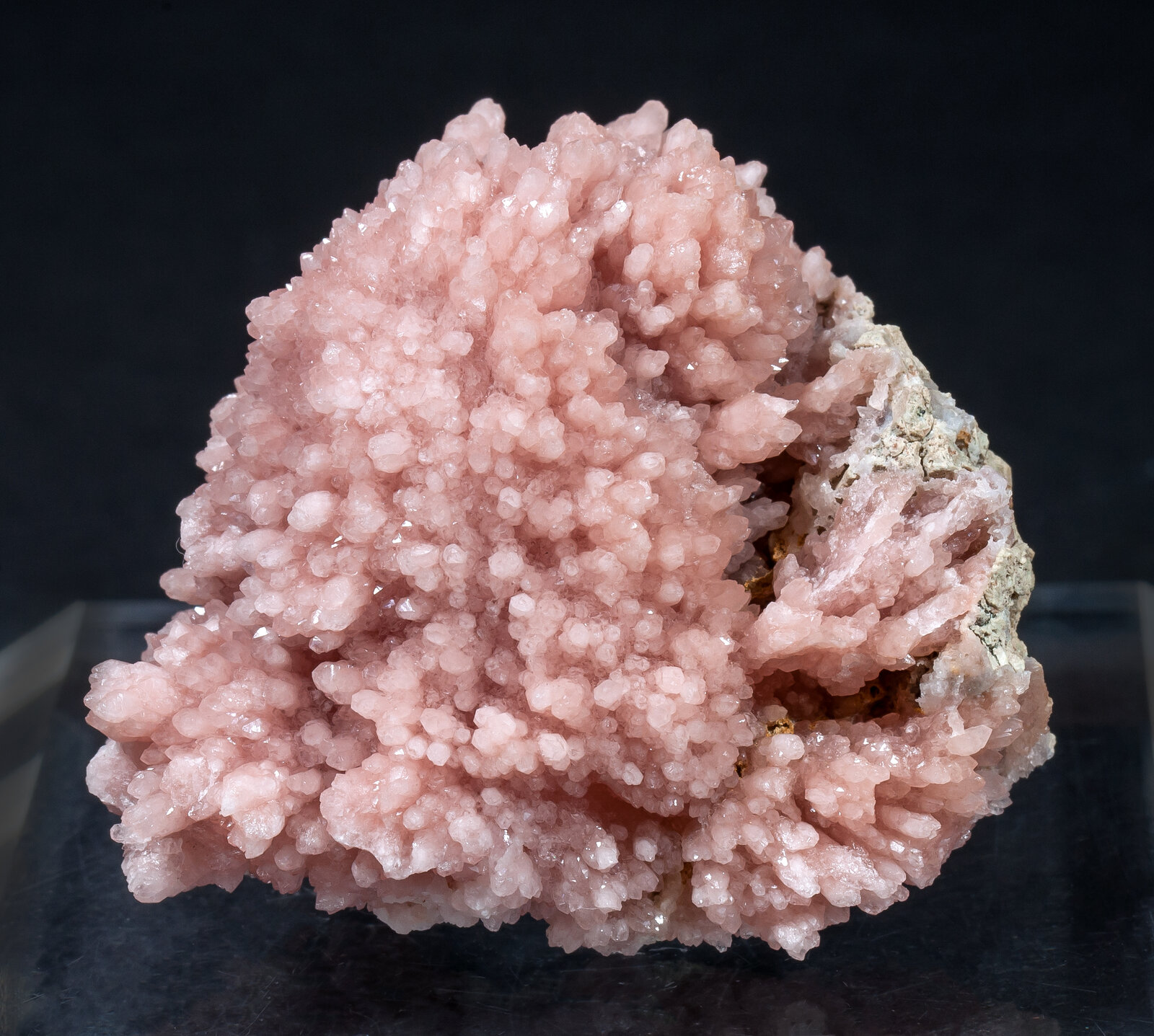 specimens/s_imagesAM8/Quartz_rose-TT96AM8f.jpg