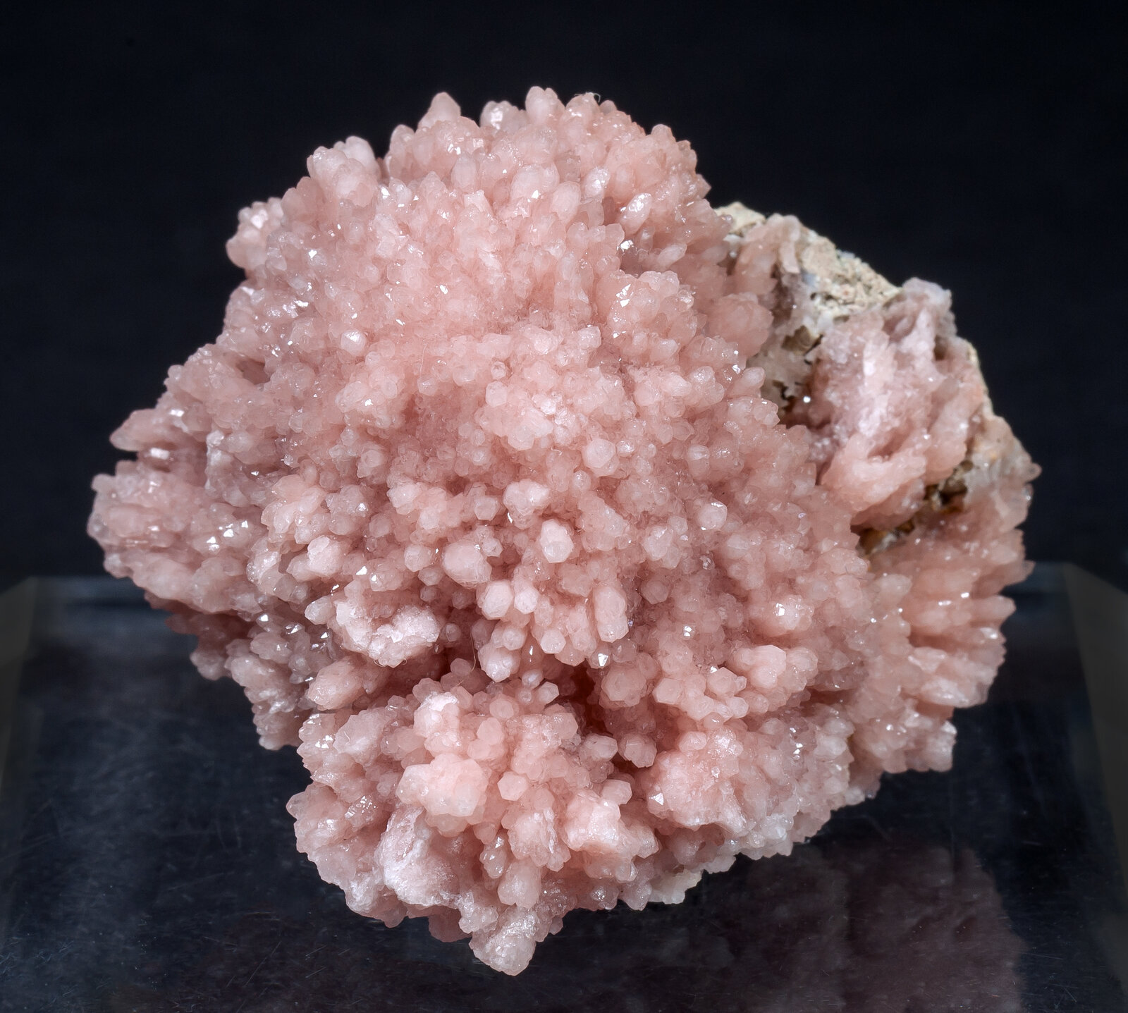 specimens/s_imagesAM8/Quartz_rose-TT96AM8s.jpg