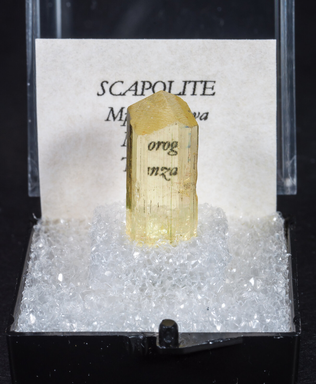 specimens/s_imagesAM8/Scapolite-MM26AM8f1.jpg