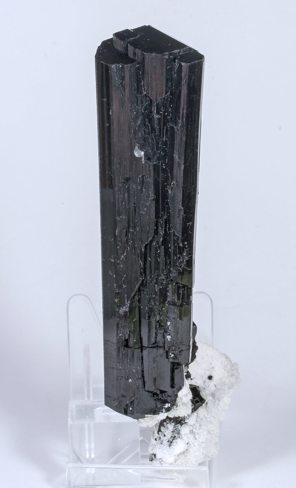 specimens/s_imagesAM8/Schorl-TP99AM8f.jpg