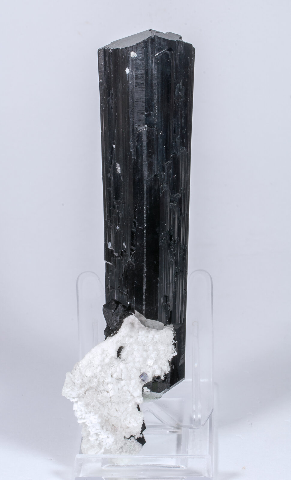 specimens/s_imagesAM8/Schorl-TP99AM8r.jpg