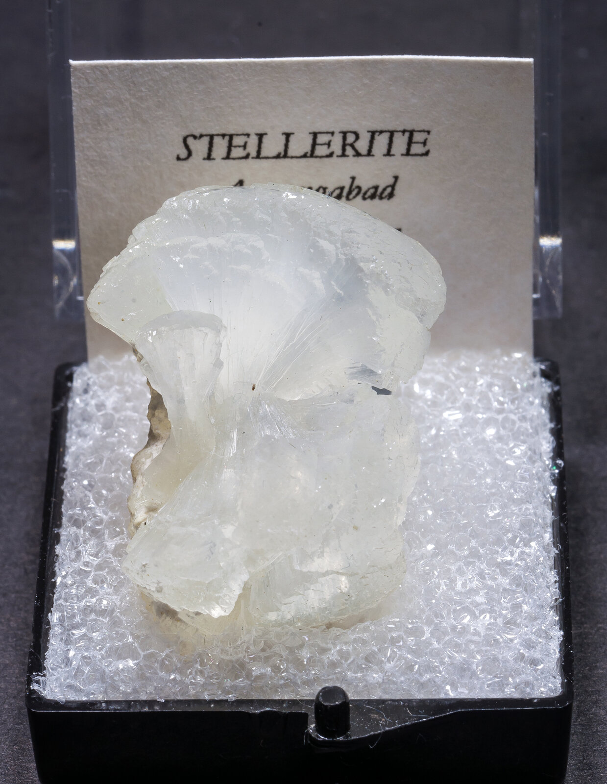 specimens/s_imagesAM8/Stellerite-MV13AM8f1.jpg