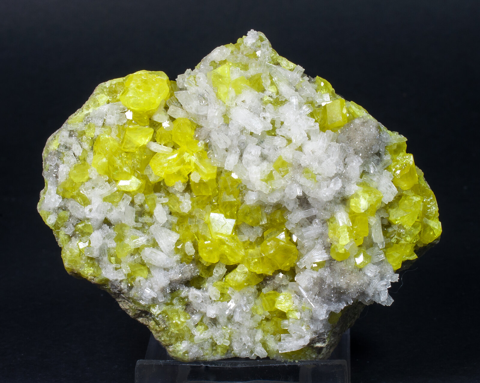 specimens/s_imagesAM8/Sulphur-CR26AM8f.jpg