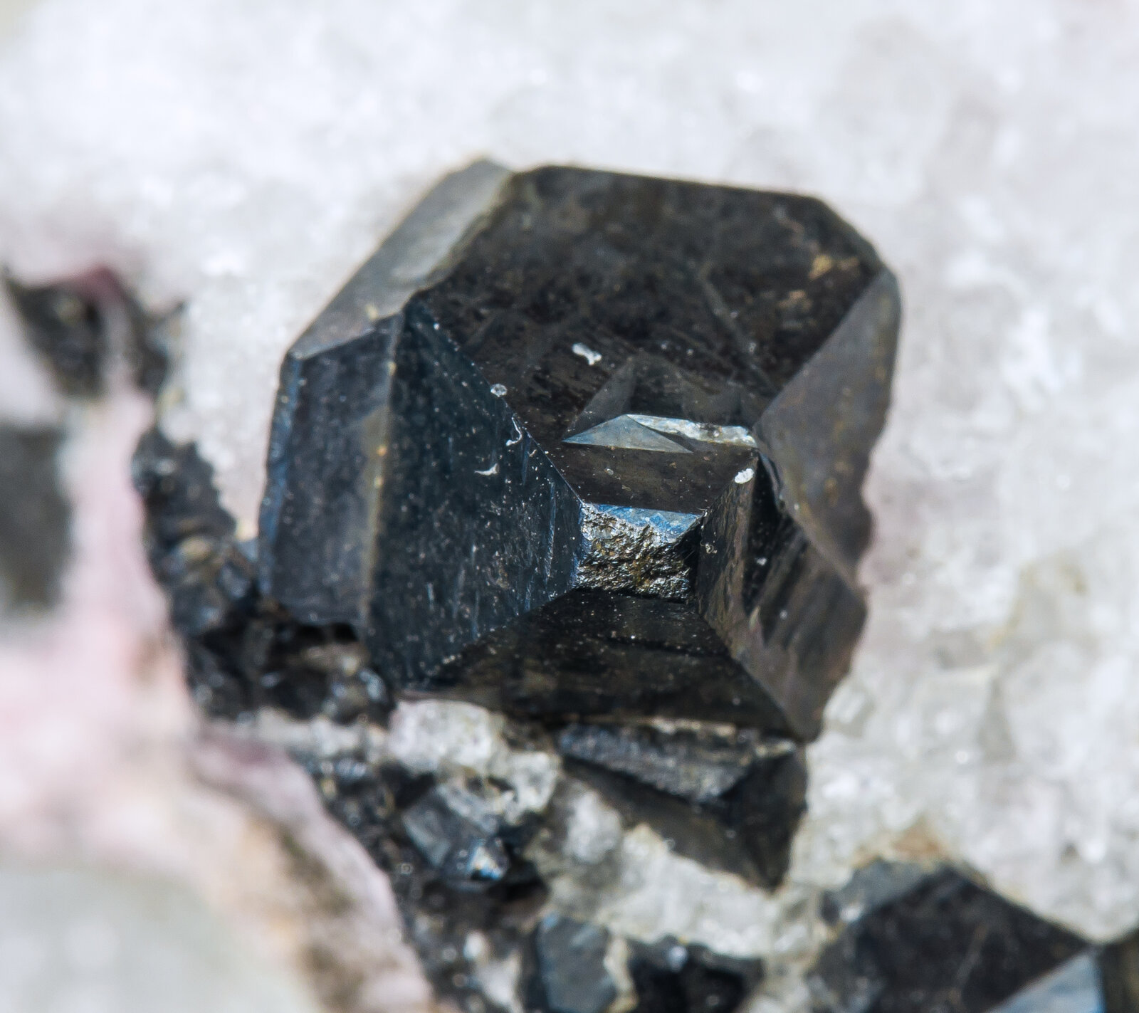 specimens/s_imagesAM9/Alabandite-MF14AM9d.jpg
