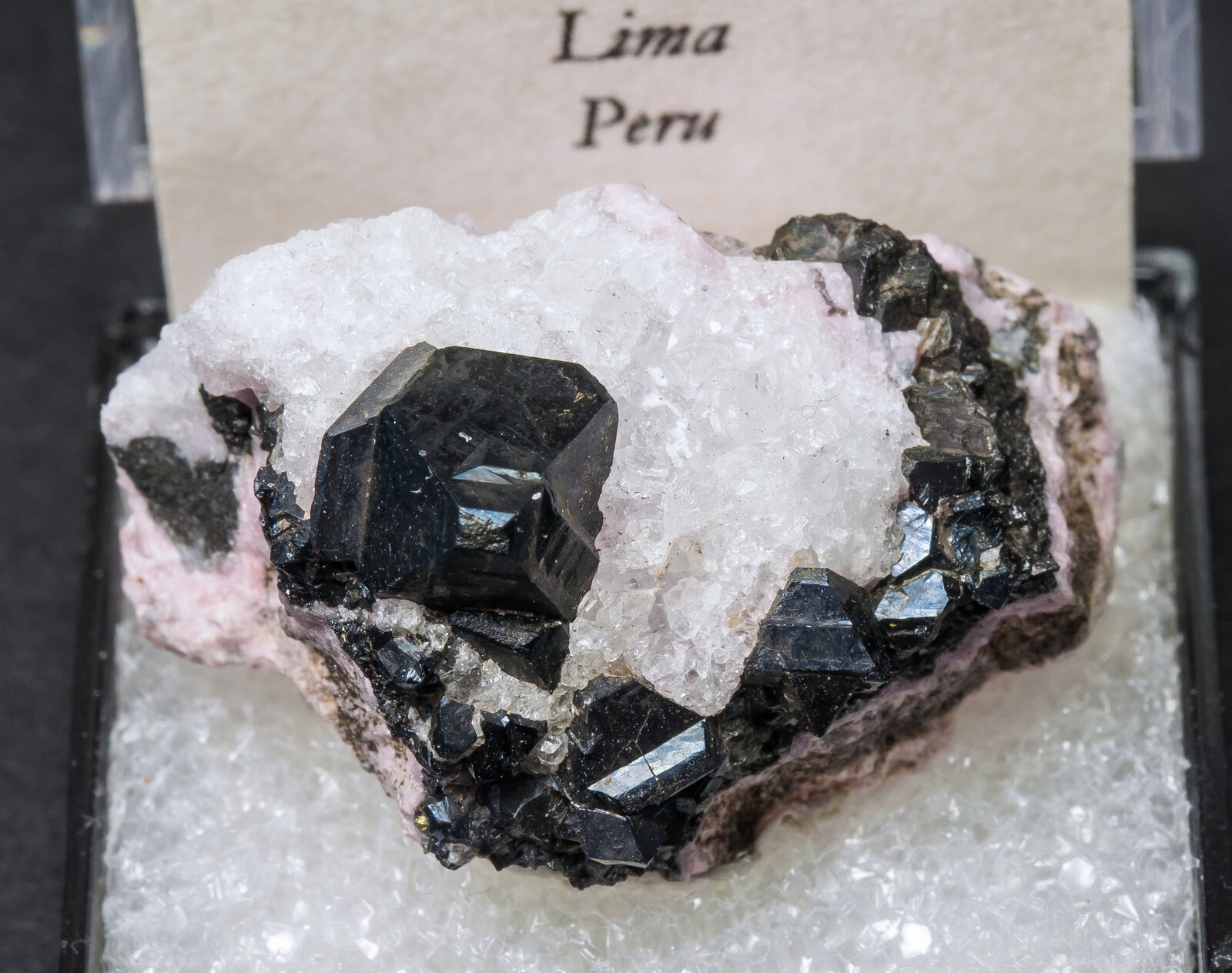 specimens/s_imagesAM9/Alabandite-MF14AM9f2.jpg