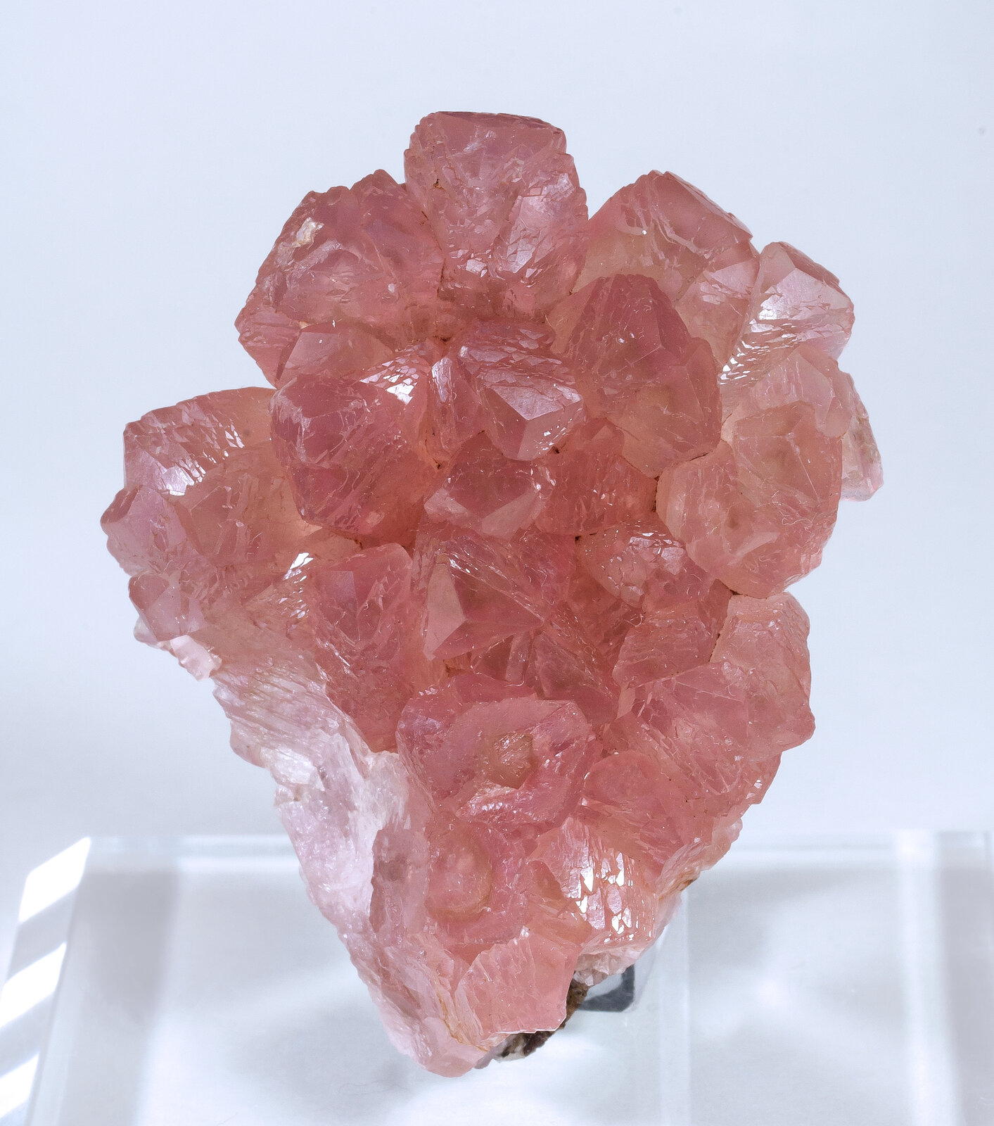 specimens/s_imagesAM9/Calcite_cobaltoan-TX66AM9f.jpg