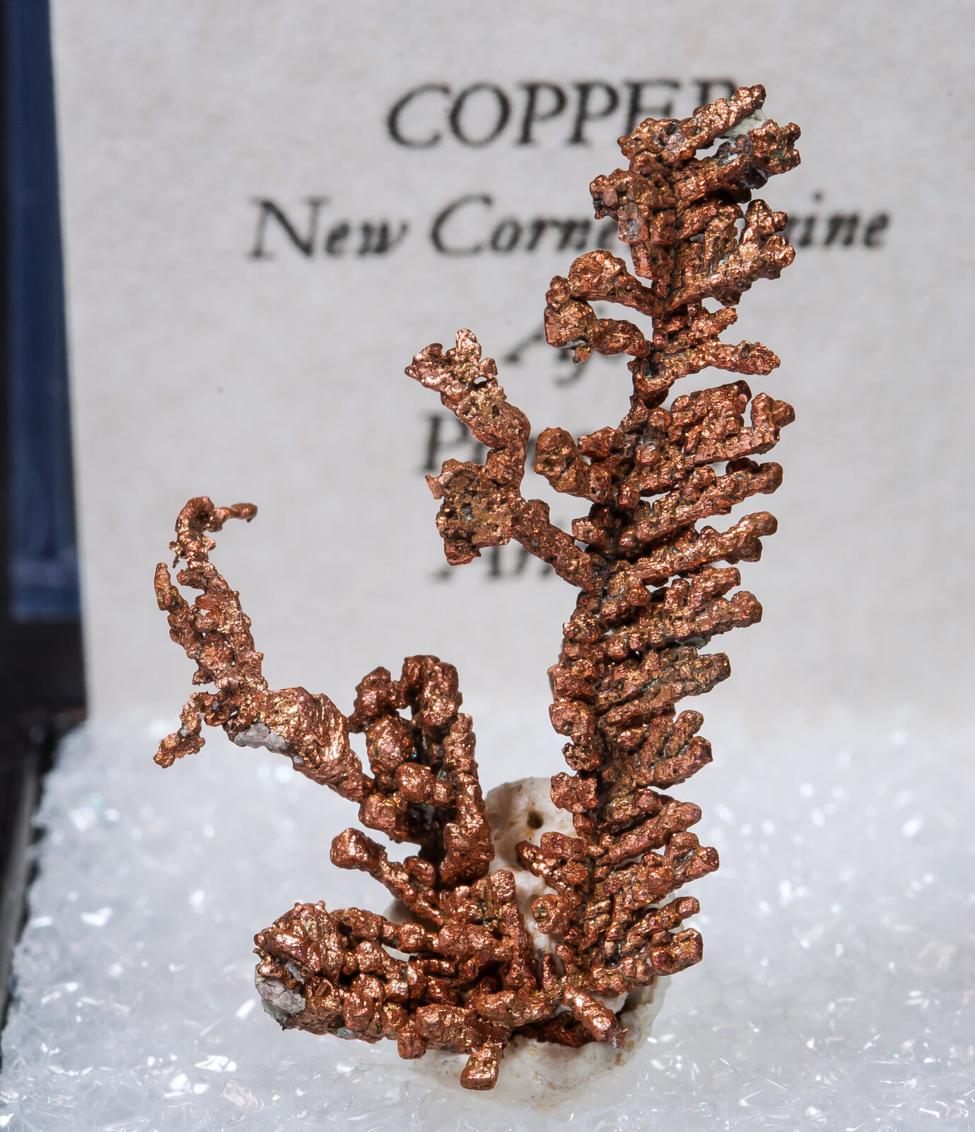 specimens/s_imagesAM9/Copper-MF46AM9f2.jpg