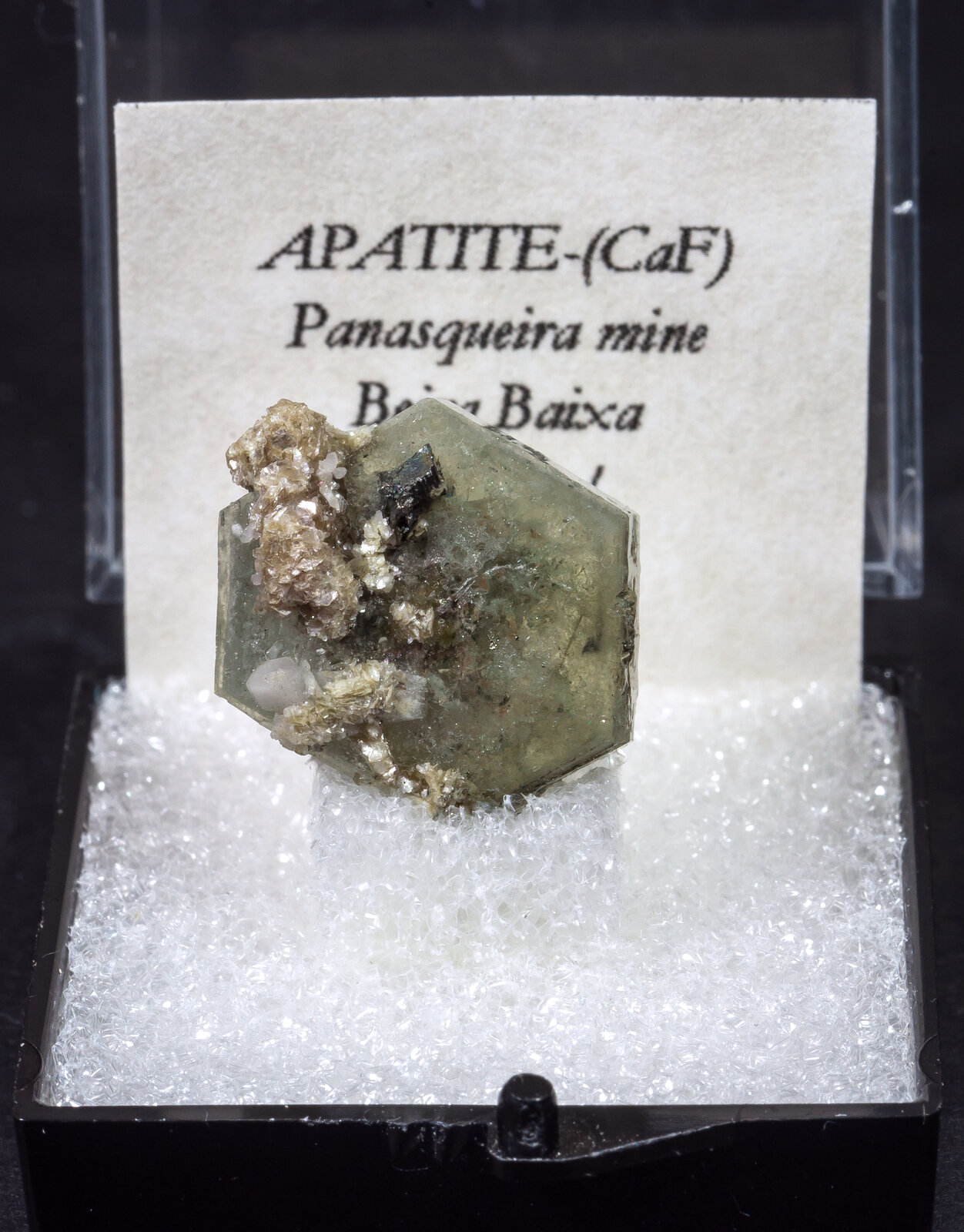 specimens/s_imagesAM9/Fluorapatite-MG12AM9f.jpg