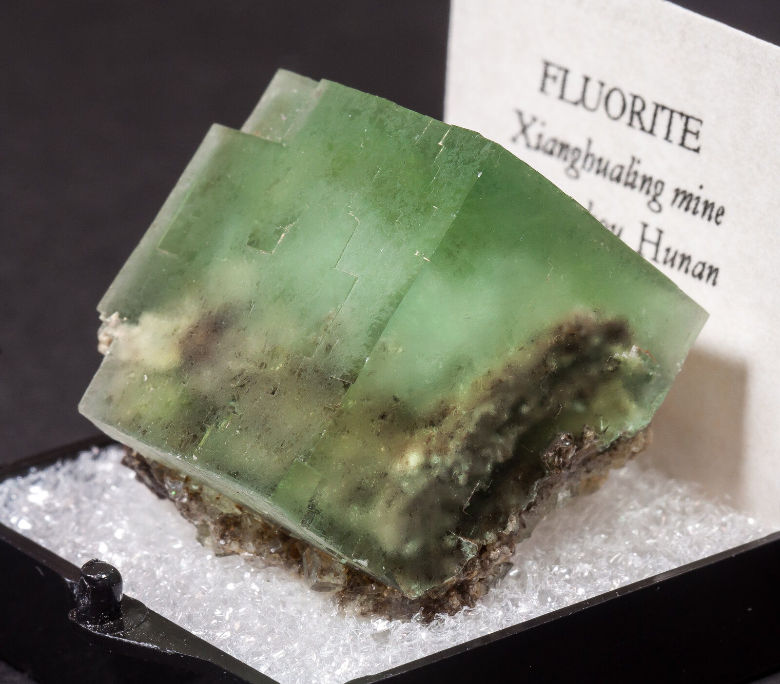 specimens/s_imagesAM9/Fluorite-MG16AM9s.jpg