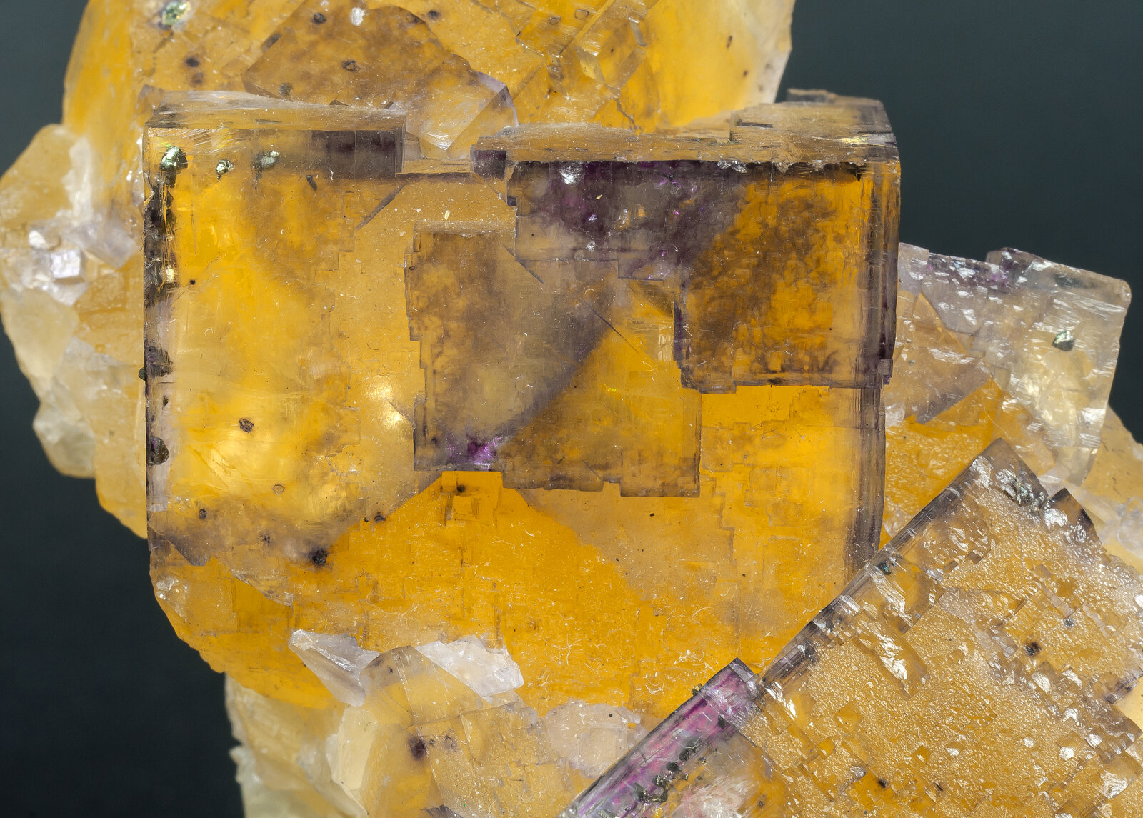 specimens/s_imagesAM9/Fluorite-TR47AM9d.jpg