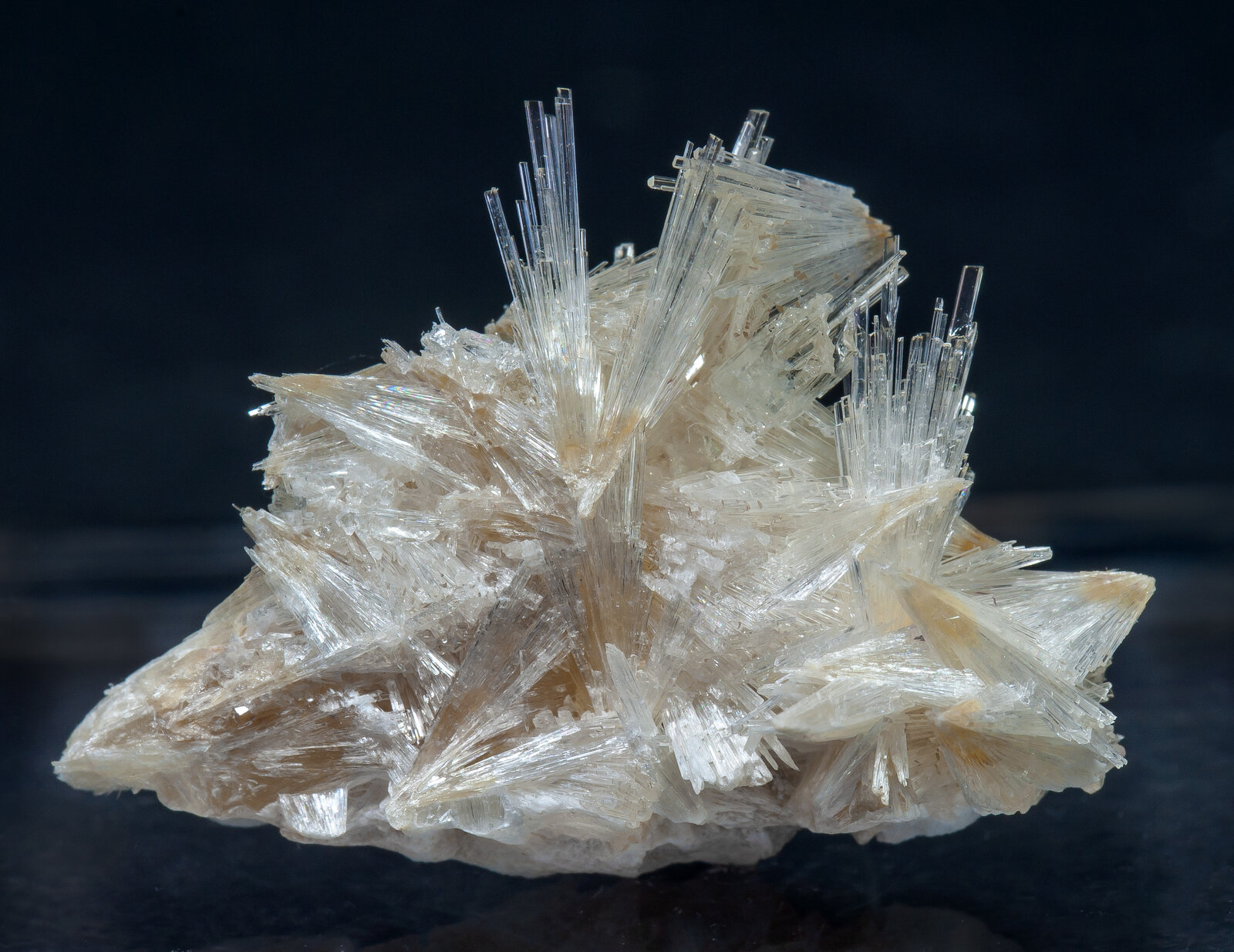 specimens/s_imagesAM9/Hydroboracite-TF11AM9f.jpg