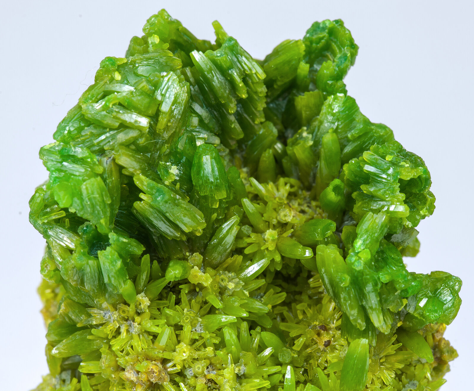 specimens/s_imagesAM9/Pyromorphite-TP36AM9d.jpg