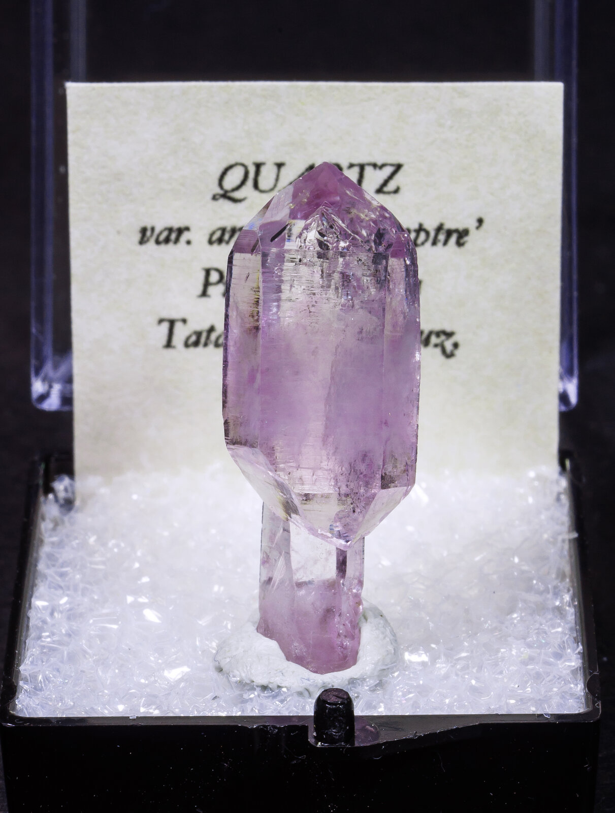 specimens/s_imagesAM9/Quartz_amethyst-MC6AM9f1.jpg