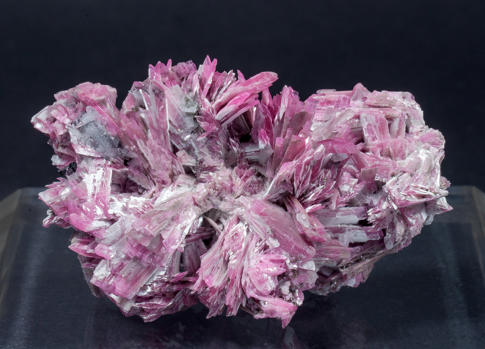 specimens/s_imagesAM9/Rhodonite-TX96AM9f.jpg