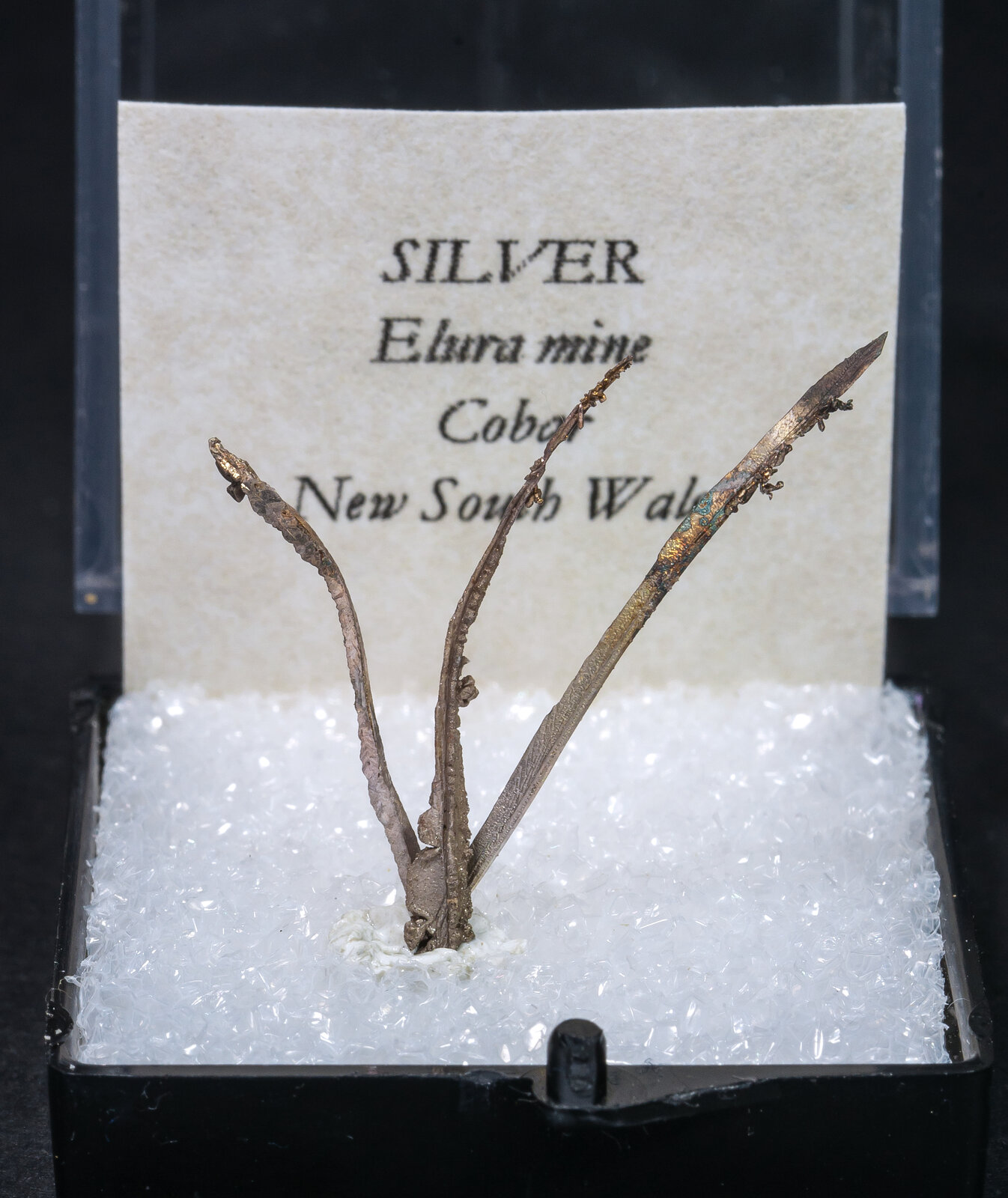 specimens/s_imagesAM9/Silver-MB47AM9f1.jpg