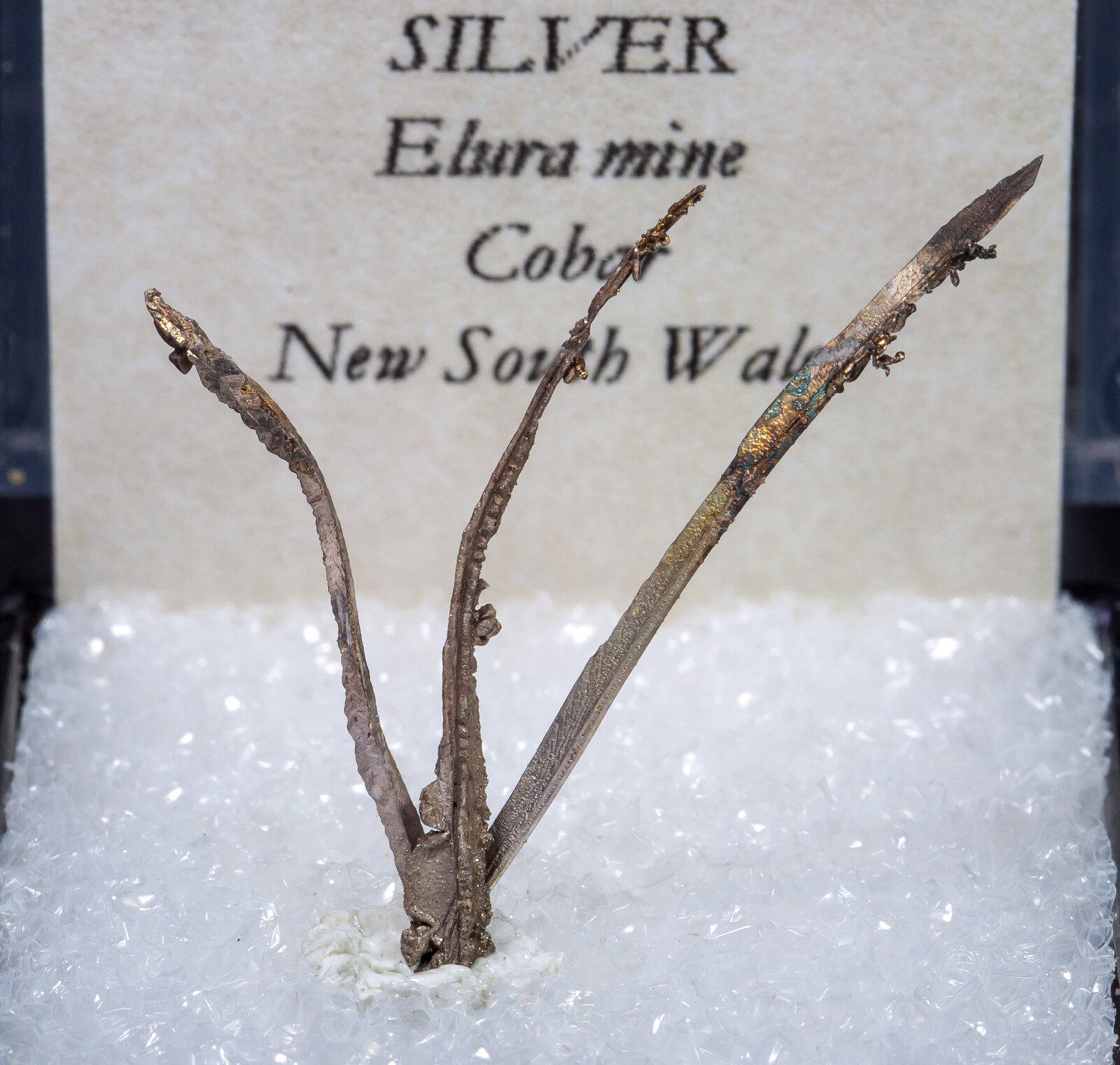 specimens/s_imagesAM9/Silver-MB47AM9f2.jpg