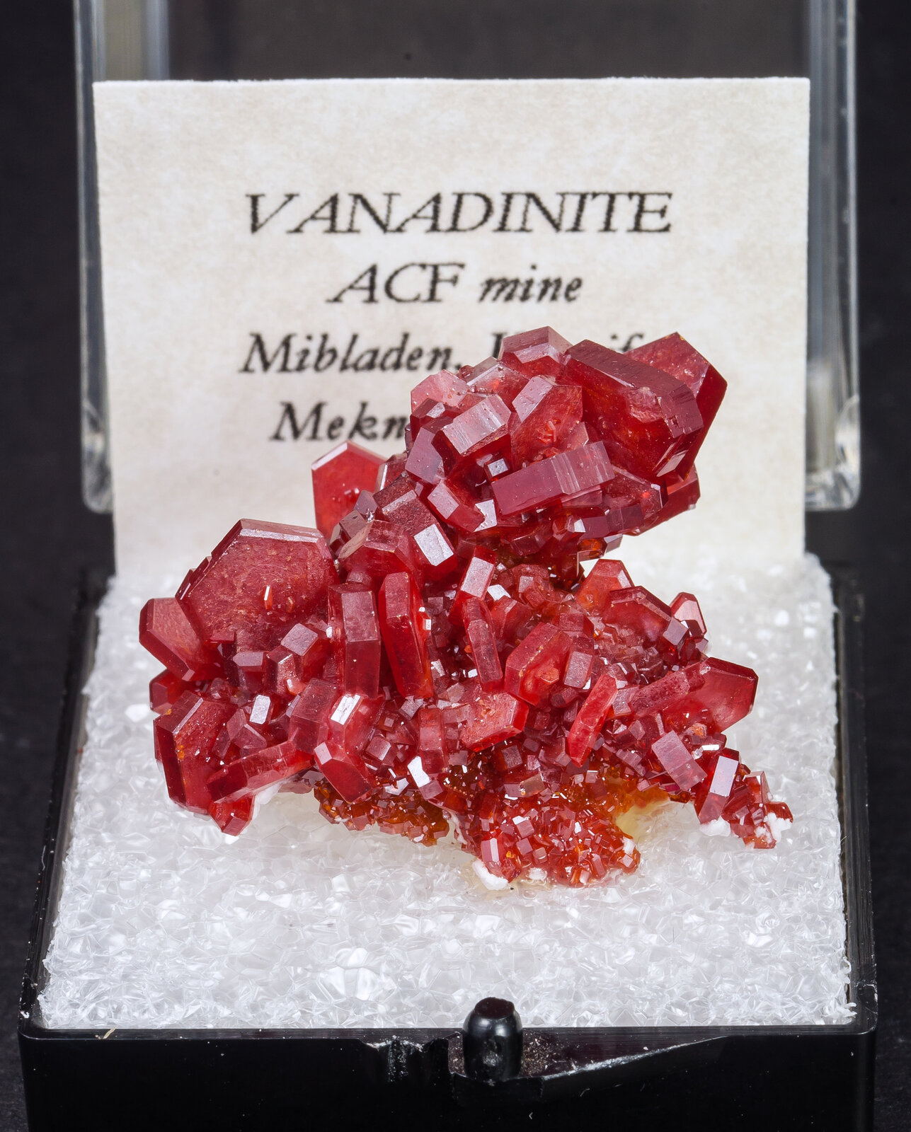 specimens/s_imagesAM9/Vanadinite-ME8AM9f1.jpg