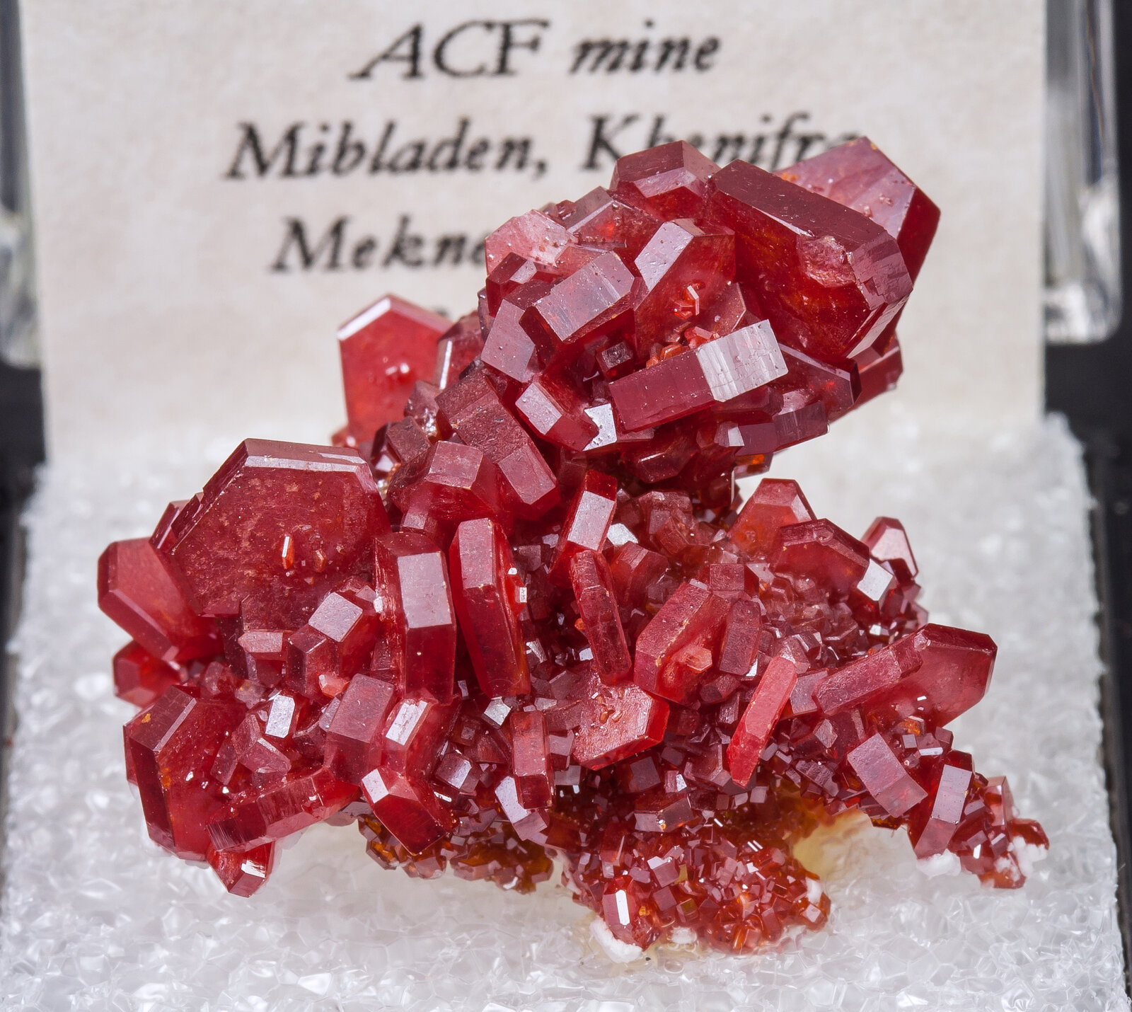 specimens/s_imagesAM9/Vanadinite-ME8AM9f2.jpg