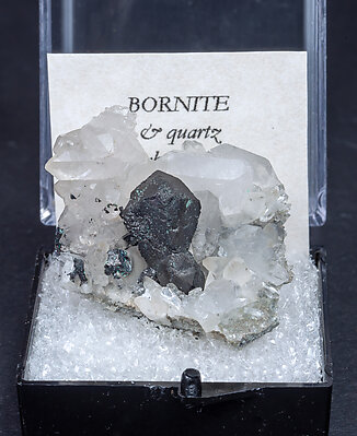 Bornite with Quartz. 