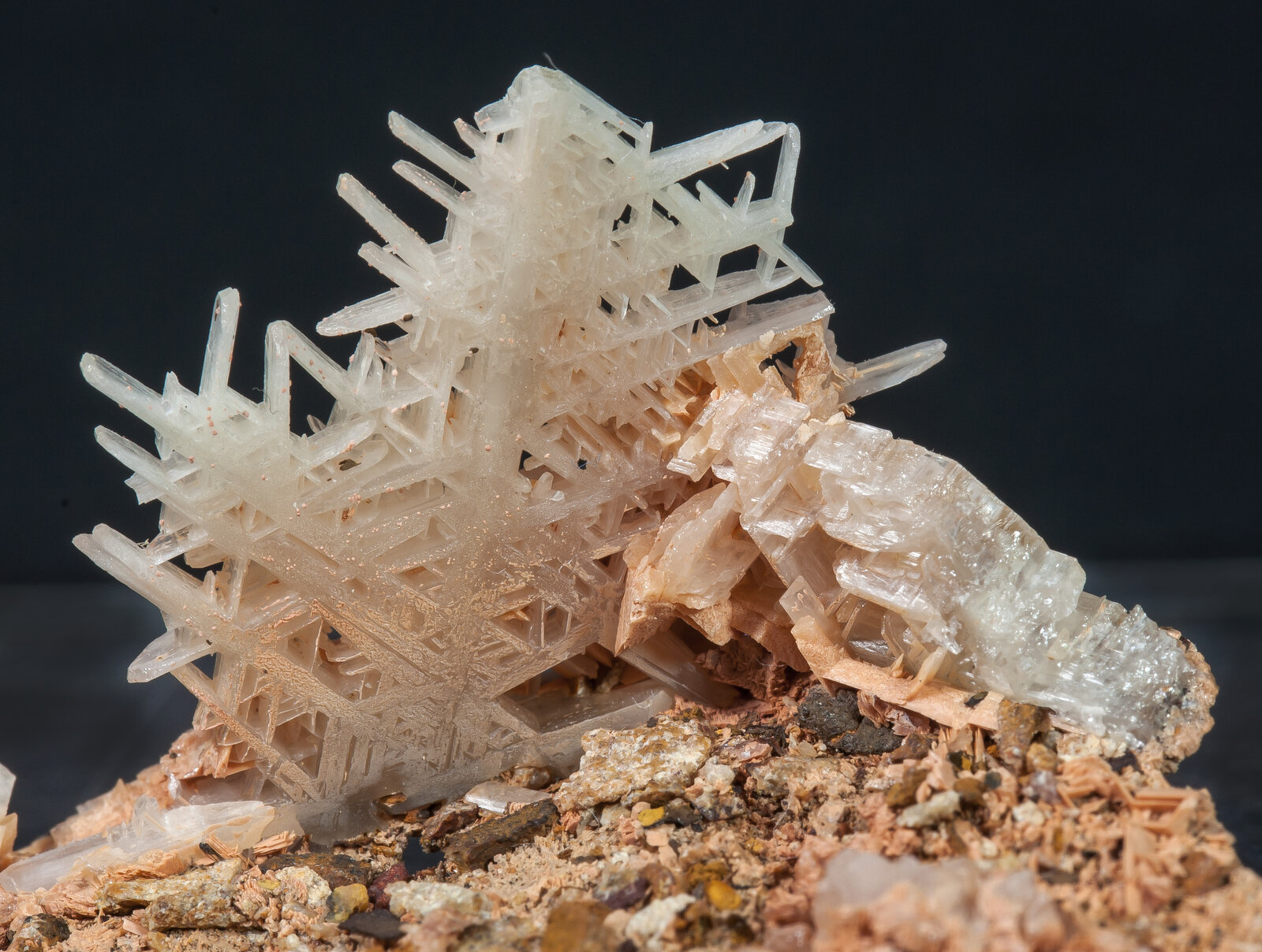 specimens/s_imagesAN0/Cerussite-NB87AN0d.jpg