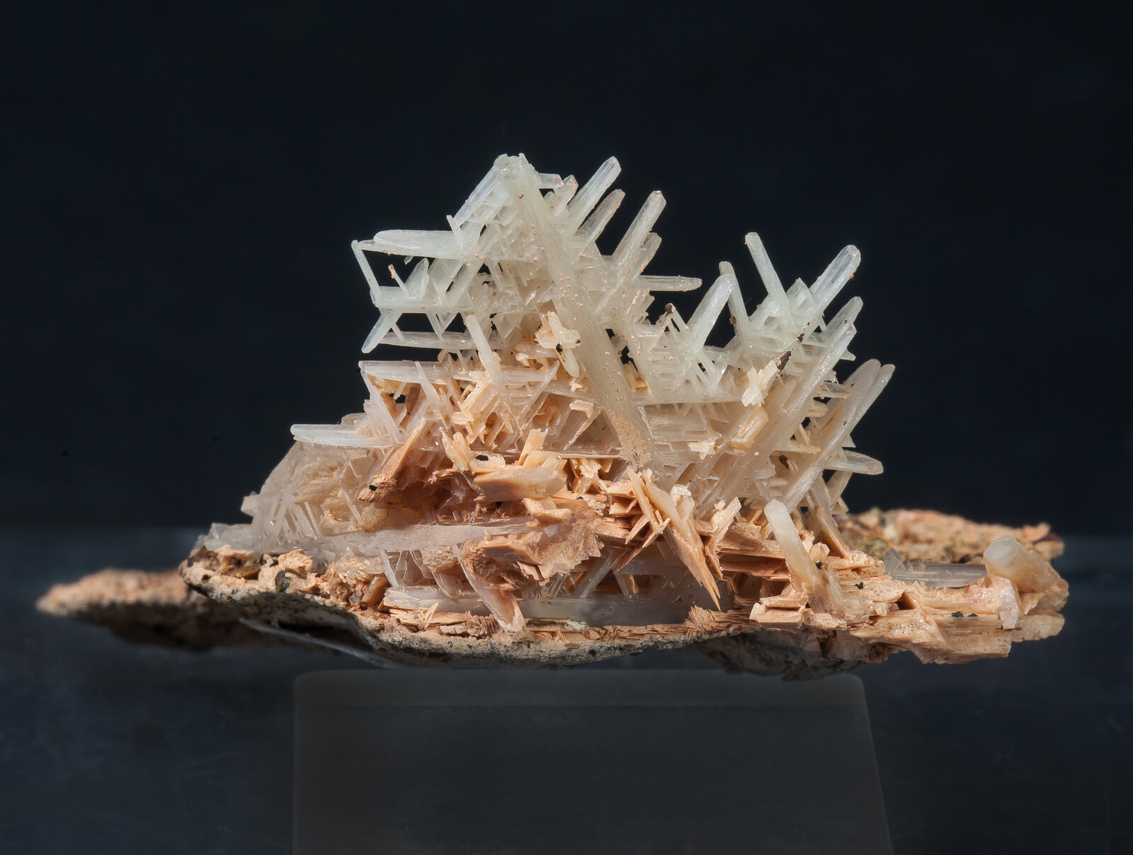 specimens/s_imagesAN0/Cerussite-NB87AN0r.jpg