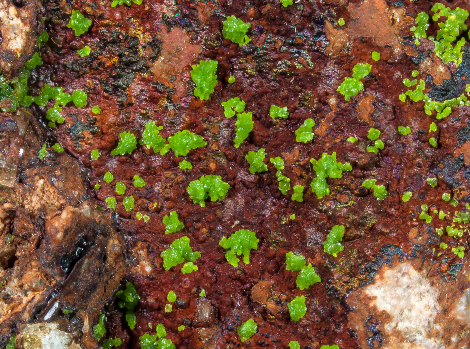specimens/s_imagesAN0/Emmonsite-NV67AN0d.jpg