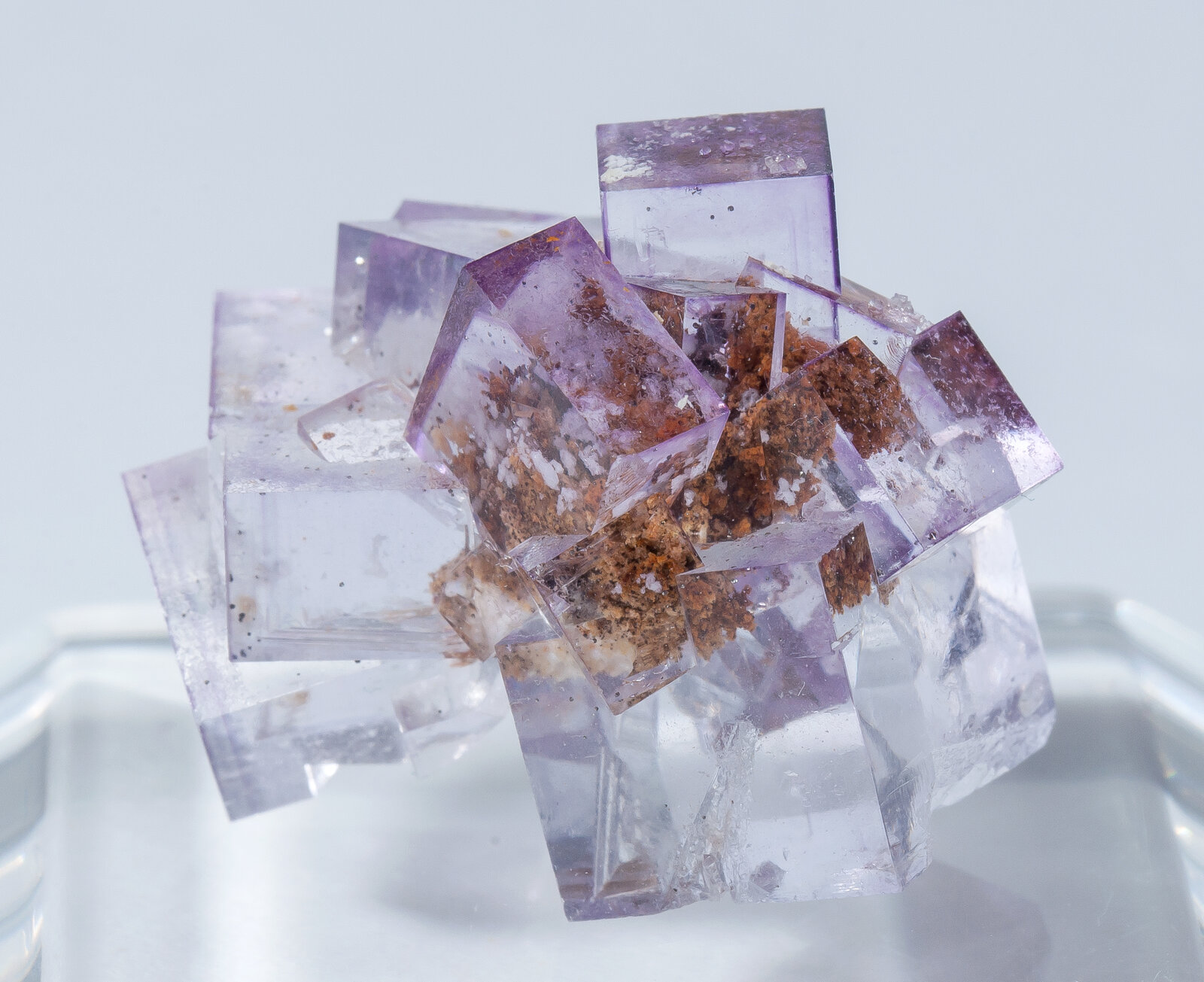specimens/s_imagesAN0/Fluorite-FR27AN0r.jpg