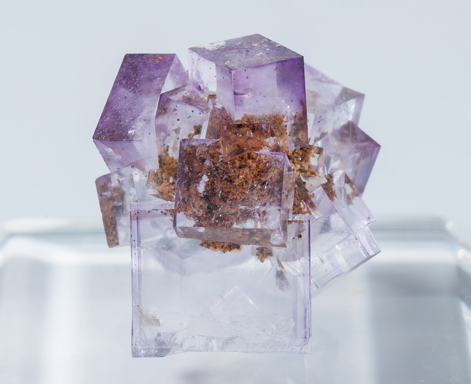specimens/s_imagesAN0/Fluorite-FR27AN0s.jpg