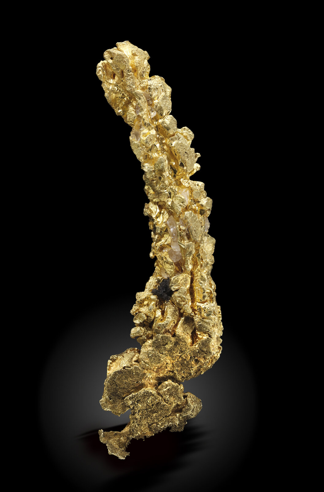 specimens/s_imagesAN0/Gold-TE91AN0_4634_f.jpg