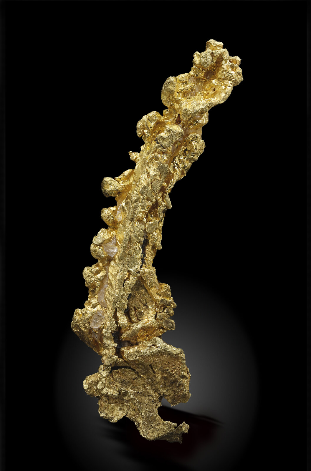 specimens/s_imagesAN0/Gold-TE91AN0_4655_r.jpg