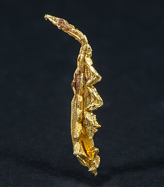 Gold (spinel twin). Rear