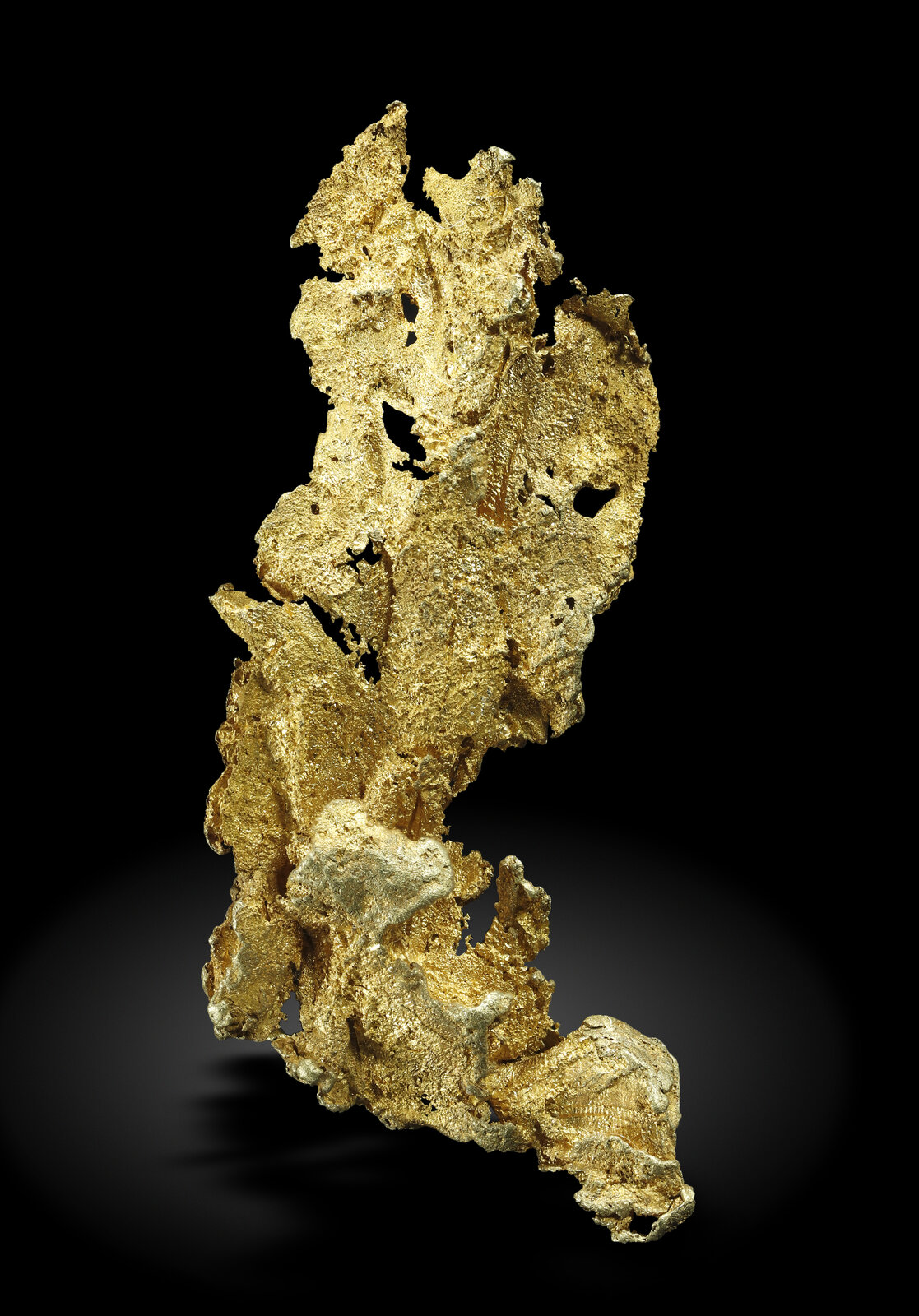 specimens/s_imagesAN0/Gold-TQ97AN0_4309_r.jpg