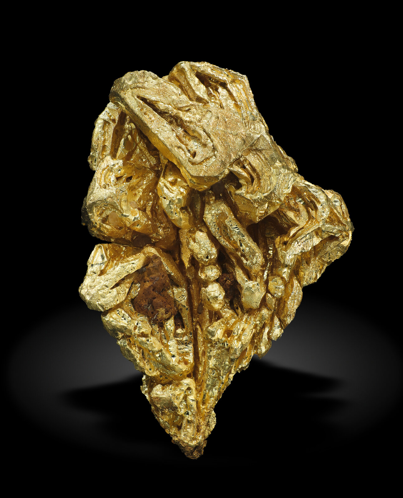 specimens/s_imagesAN0/Gold-TX67AN0_4472_r.jpg