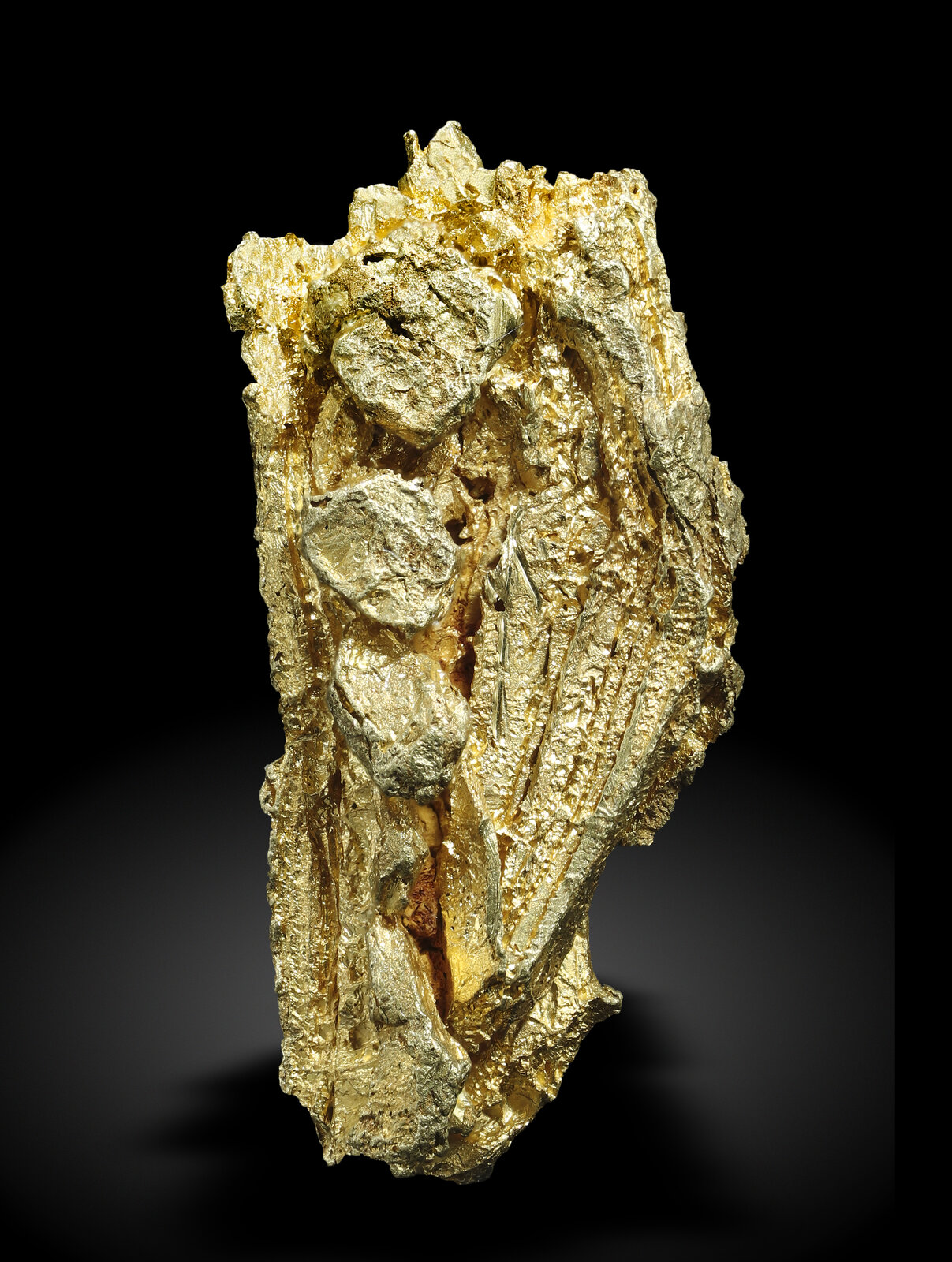 specimens/s_imagesAN0/Gold-TZ86AN0_4344_r.jpg