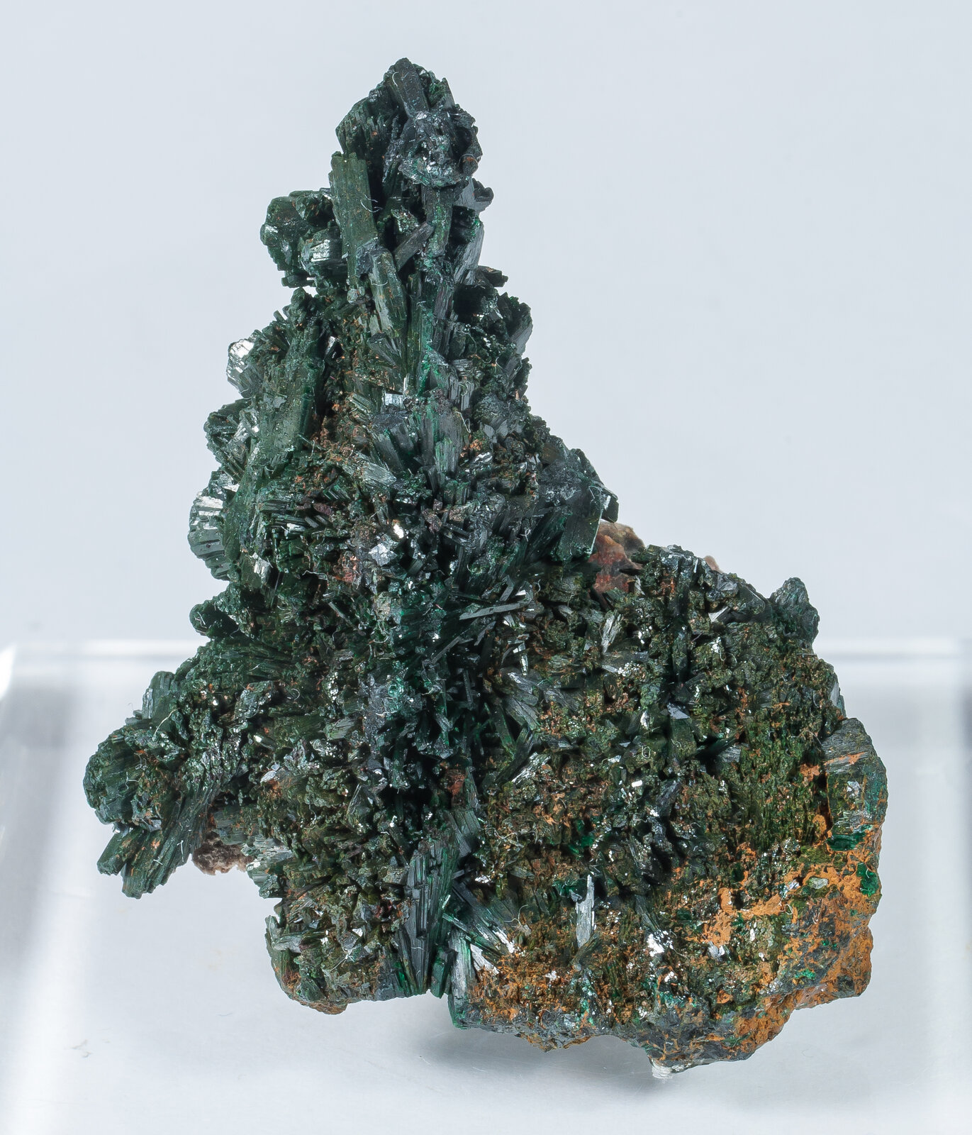 specimens/s_imagesAN0/Malachite-TM66AN0f.jpg