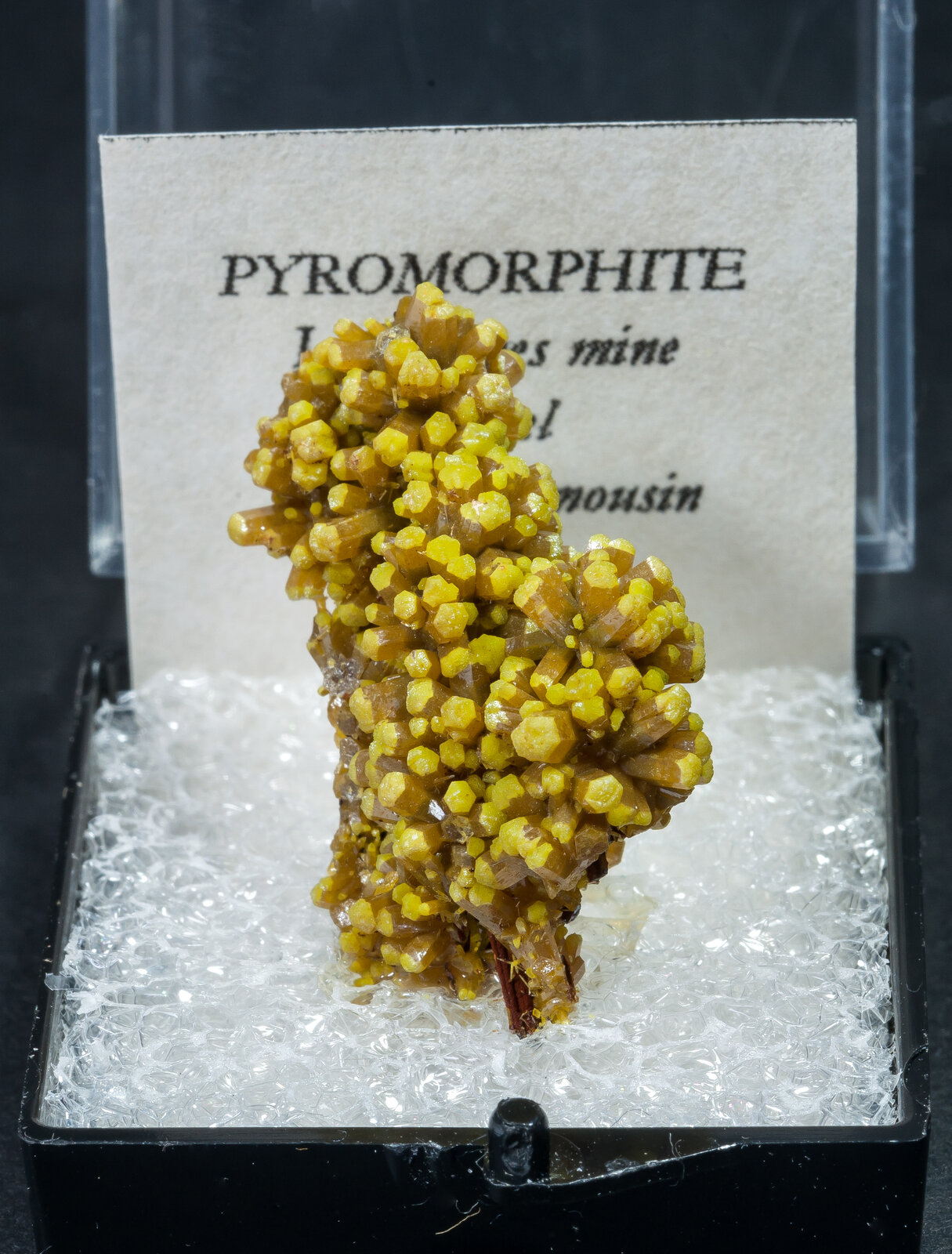 specimens/s_imagesAN0/Pyromorphite-MH46AN0f.jpg