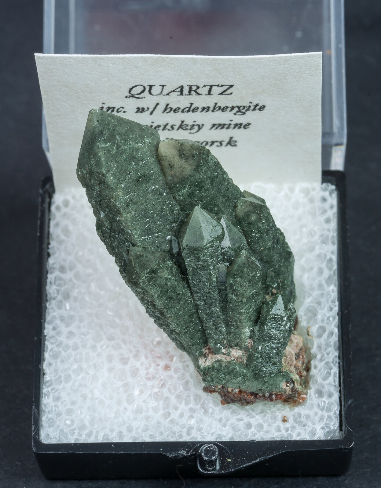 specimens/s_imagesAN0/Quartz_prase-ML16AN0f1.jpg