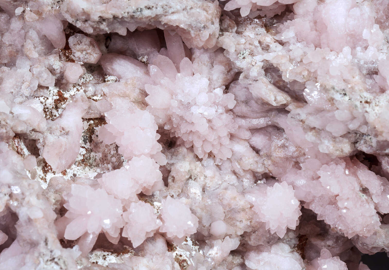 specimens/s_imagesAN0/Quartz_rose-MP17AN0d.jpg