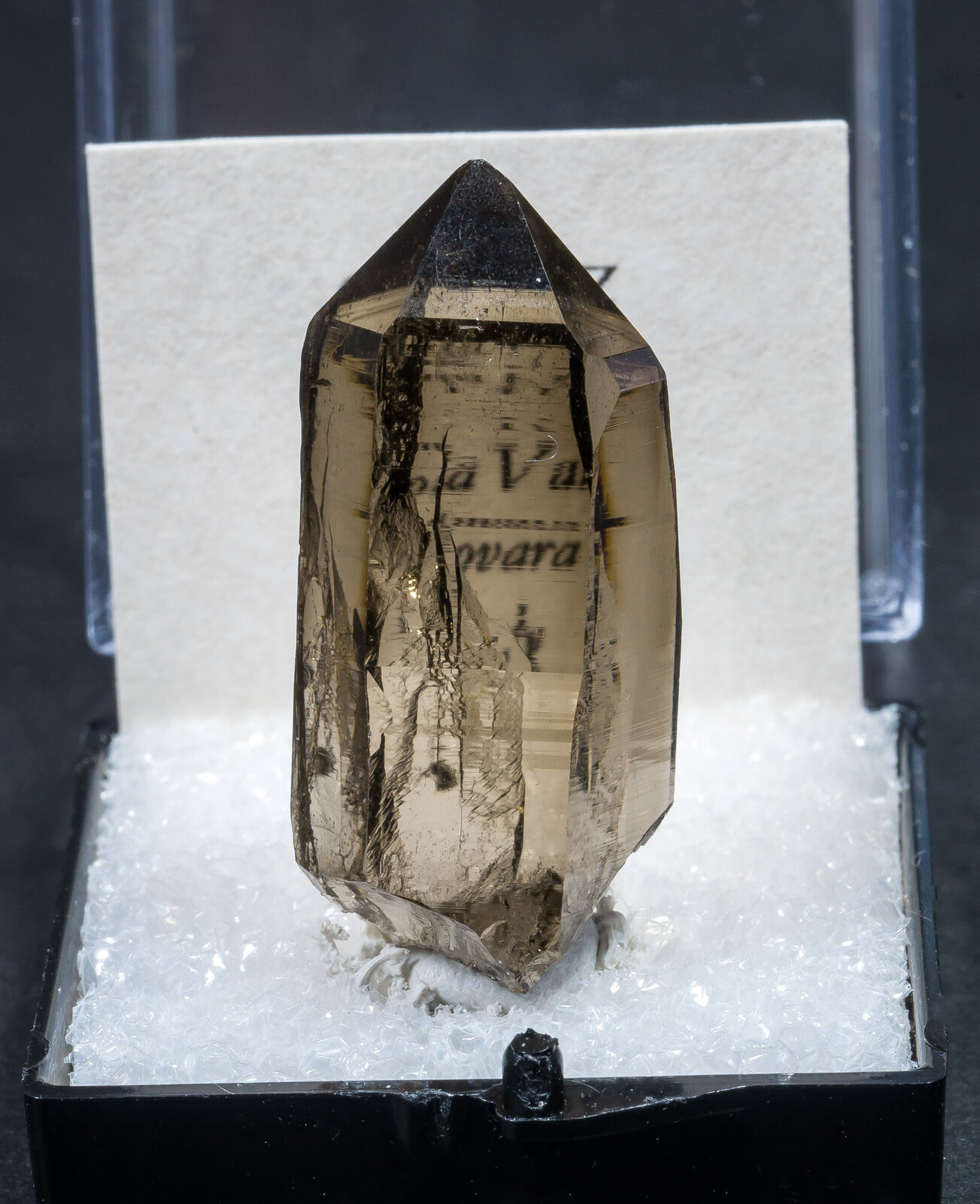 specimens/s_imagesAN0/Quartz_smoky-MG13AN0f1.jpg