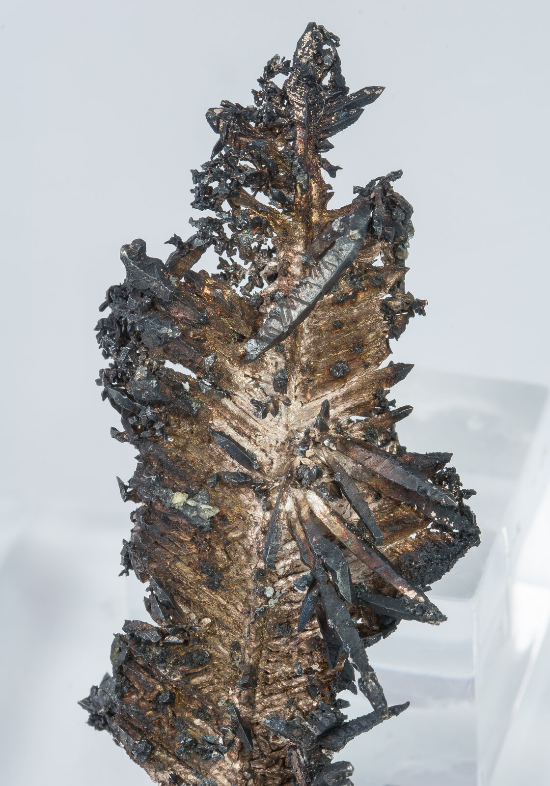 specimens/s_imagesAN0/Silver-NF89AN0d.jpg