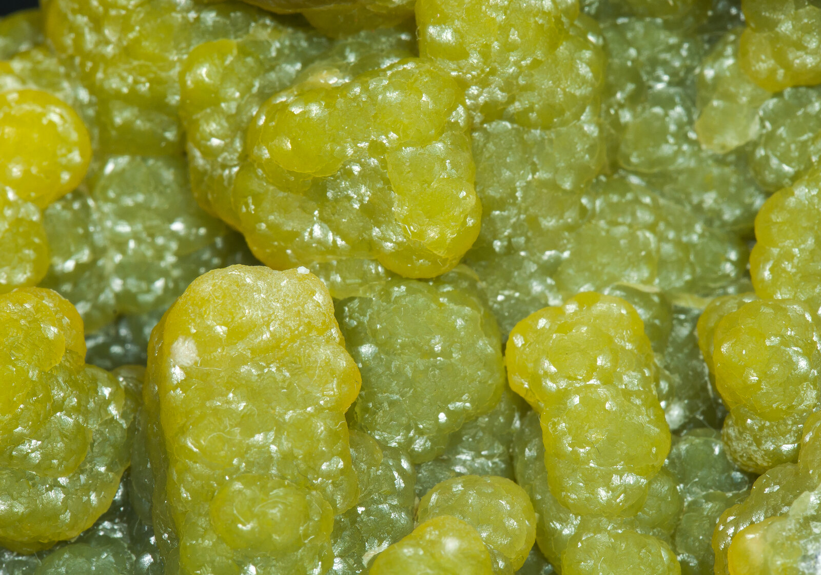 specimens/s_imagesAN0/Smithsonite-TB27AN0d.jpg