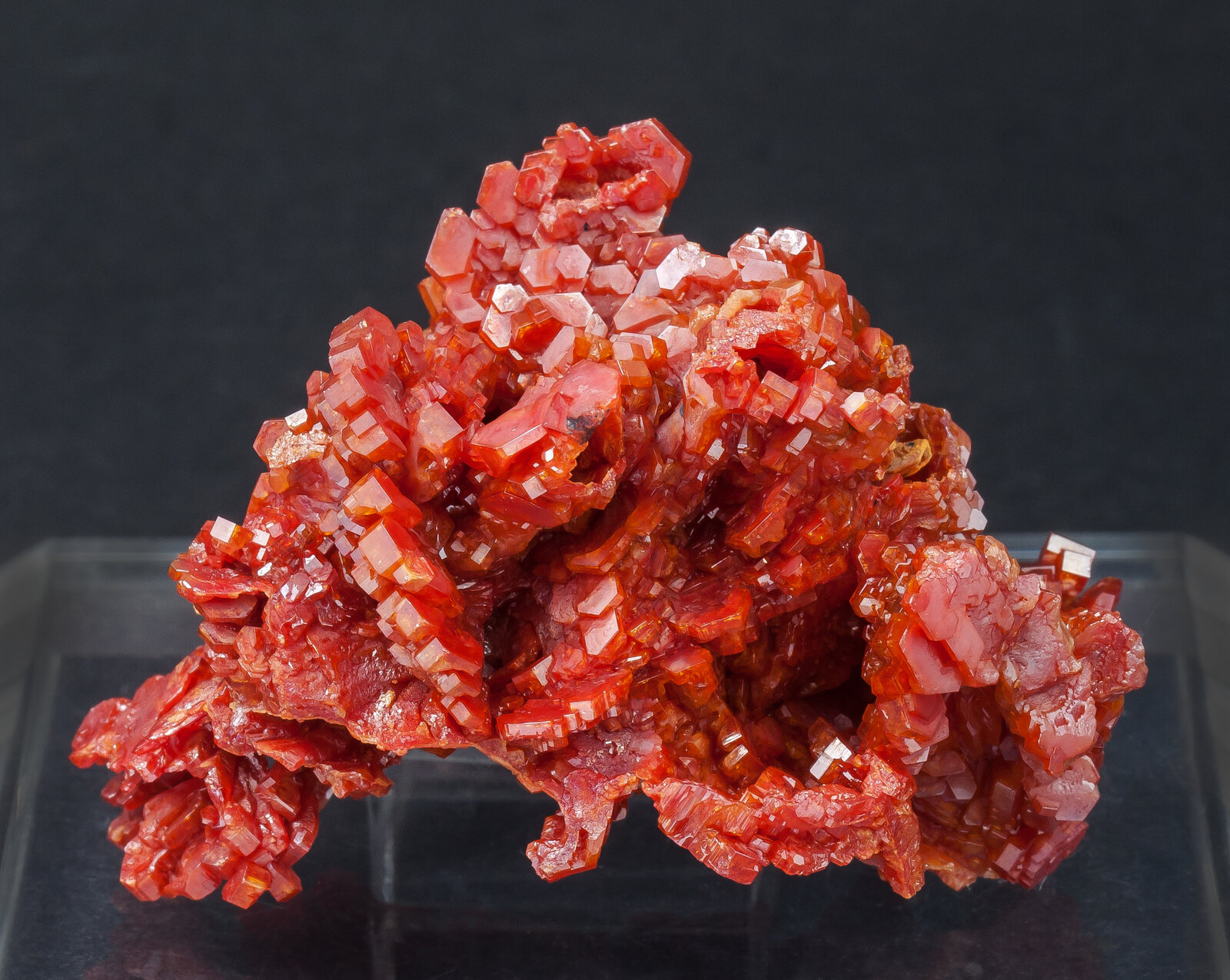 specimens/s_imagesAN0/Vanadinite-AB86AN0f.jpg