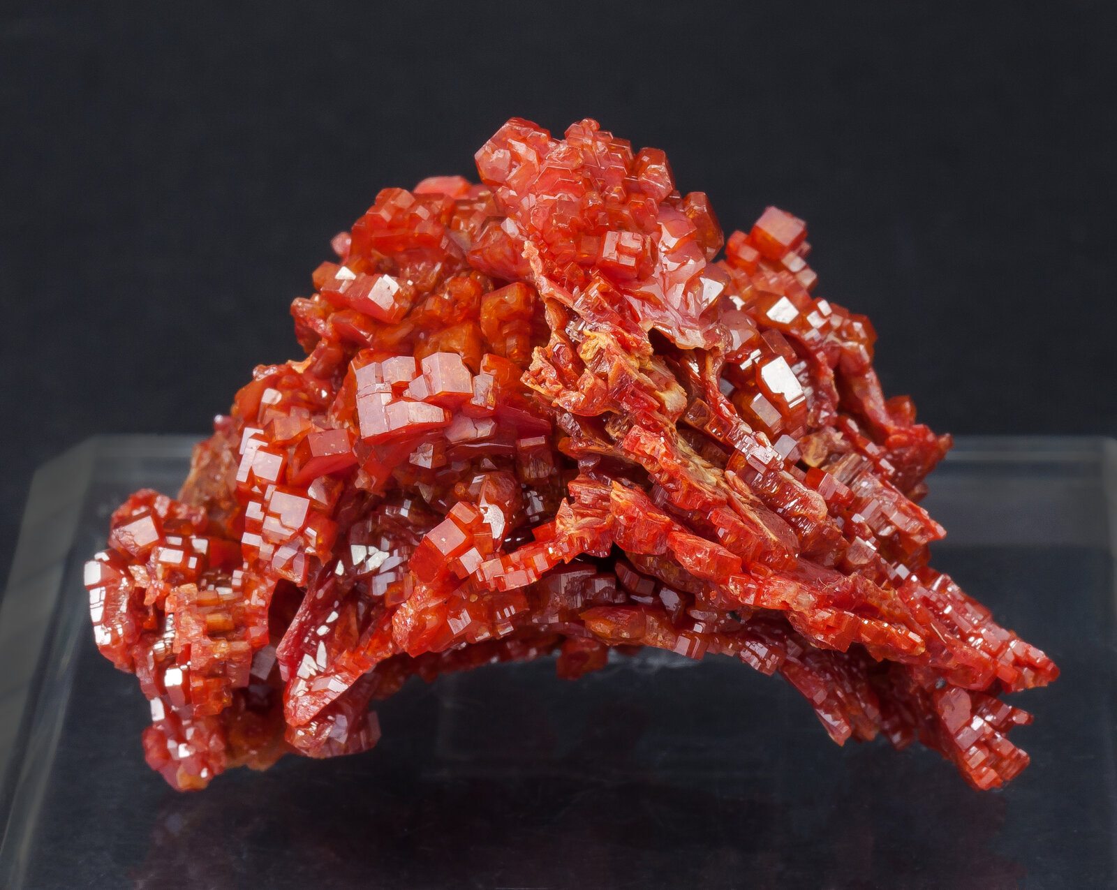 specimens/s_imagesAN0/Vanadinite-AB86AN0r.jpg