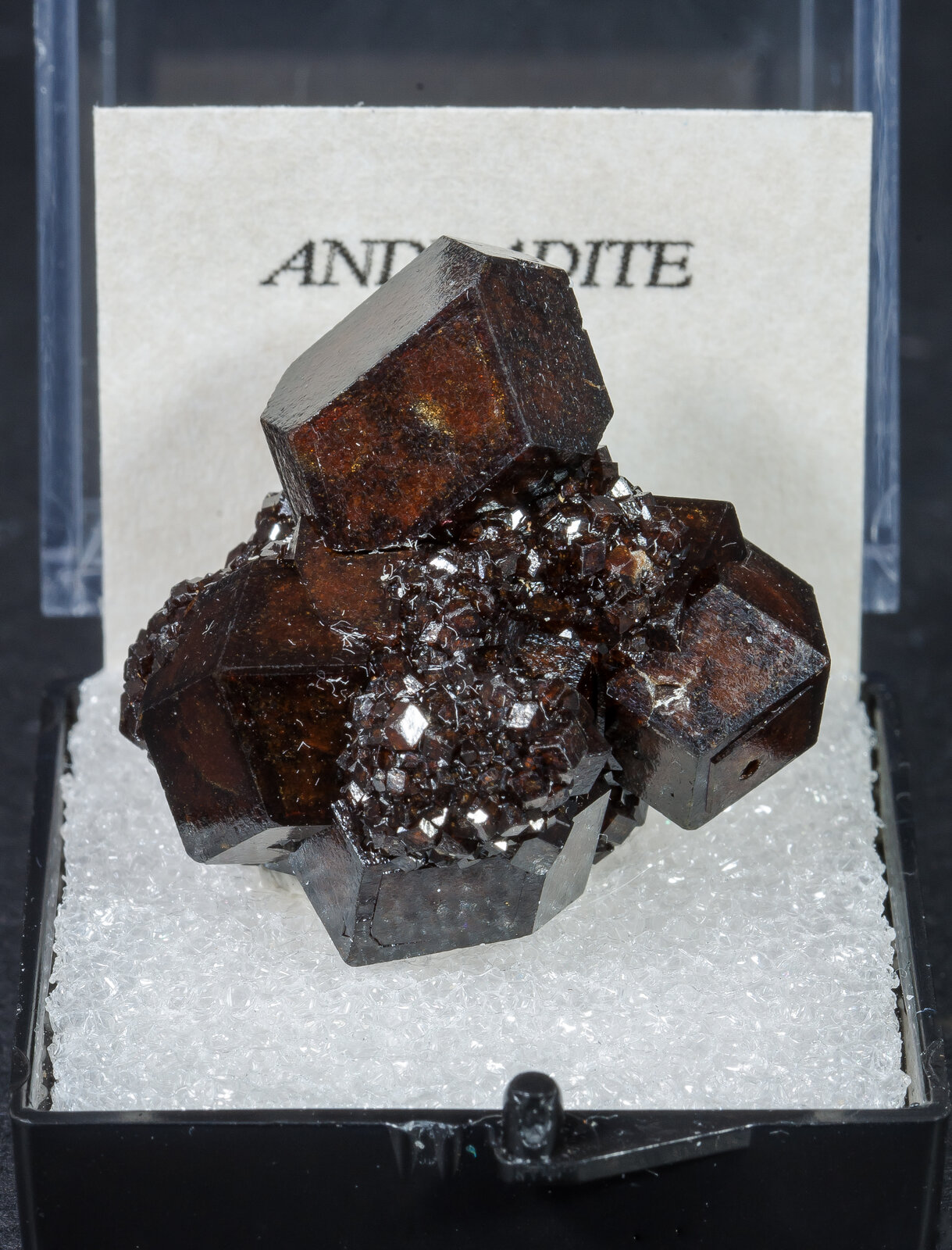 specimens/s_imagesAN1/Andradite-TA11AN1f1.jpg