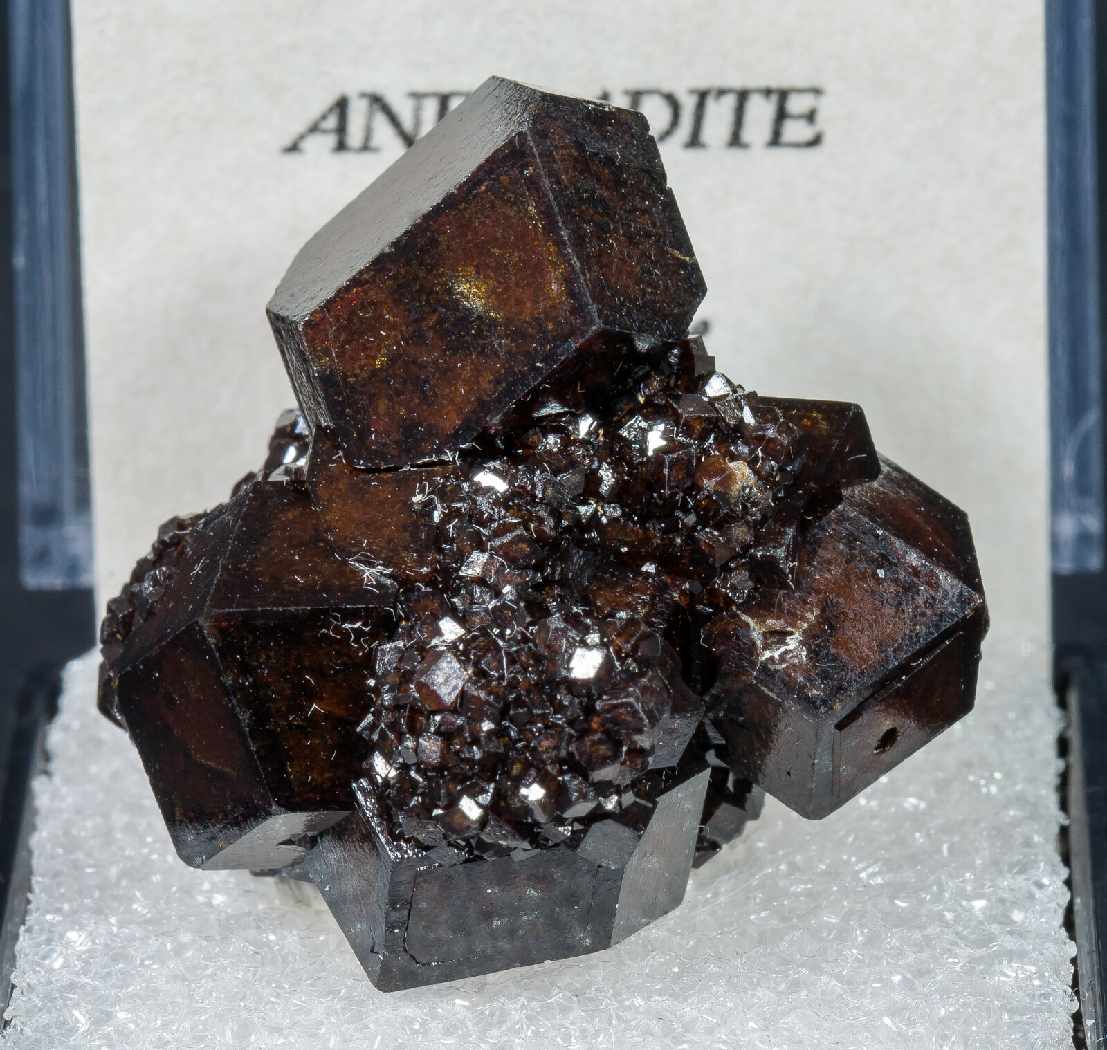 specimens/s_imagesAN1/Andradite-TA11AN1f2.jpg