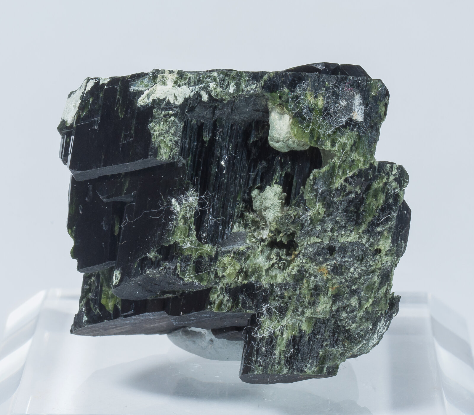 specimens/s_imagesAN1/Augite-TP87AN1r.jpg