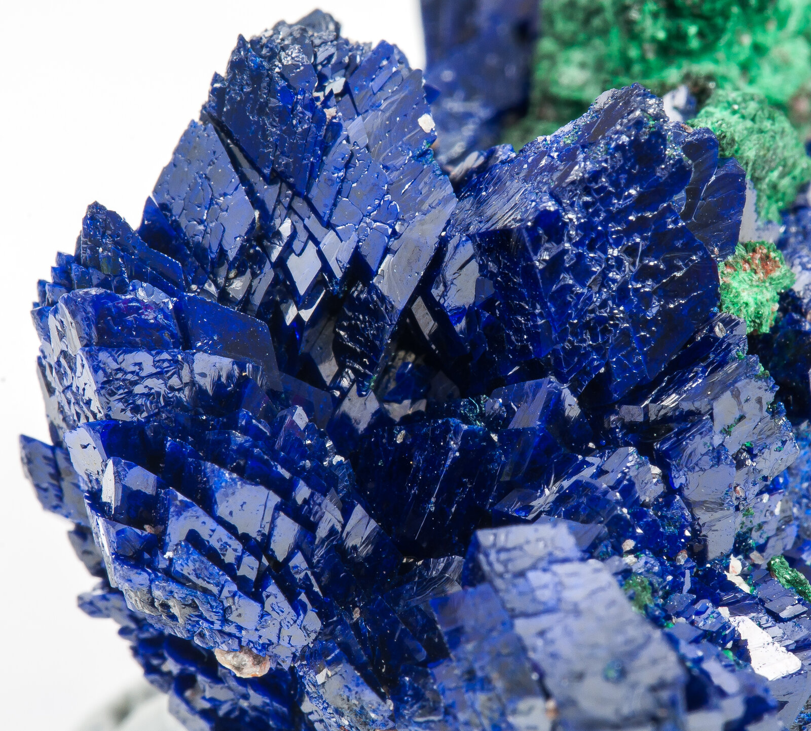 specimens/s_imagesAN1/Azurite-EH69AN1d.jpg