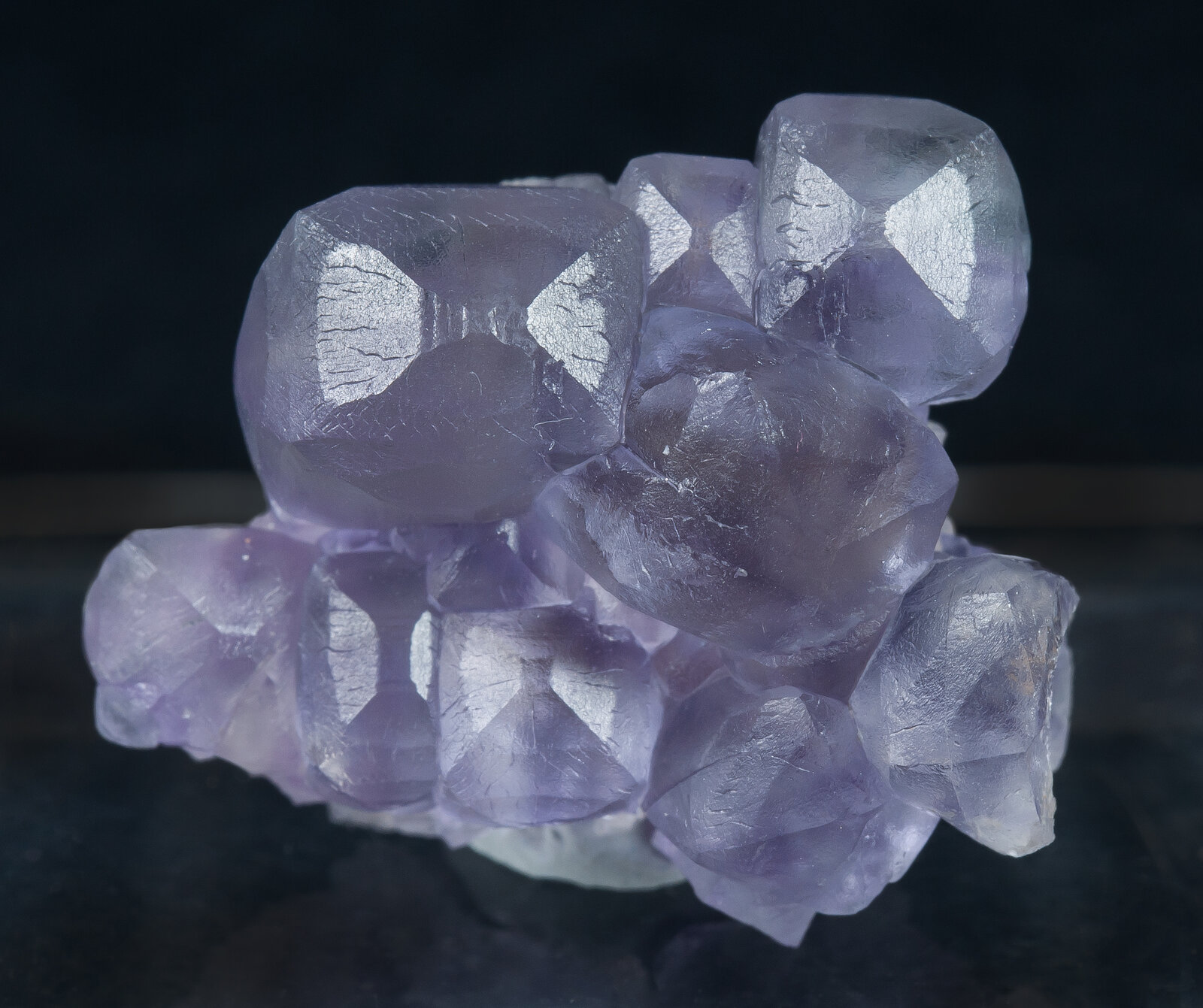 specimens/s_imagesAN1/Fluorite-NM11AN1f.jpg